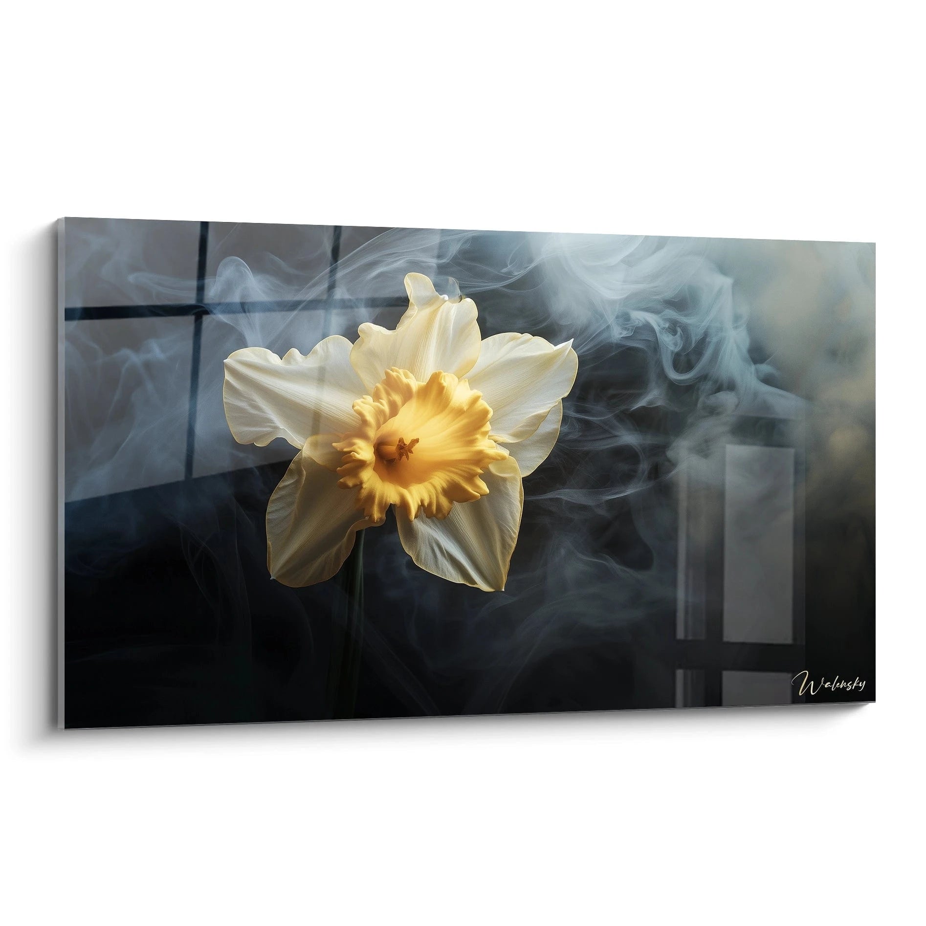 Un tableau Narcisse nature montrant un narcisse jaune et blanc entouré de brume, sur un fond sombre. Les textures lisses des pétales contrastent avec l’effet vaporeux de la fumée.