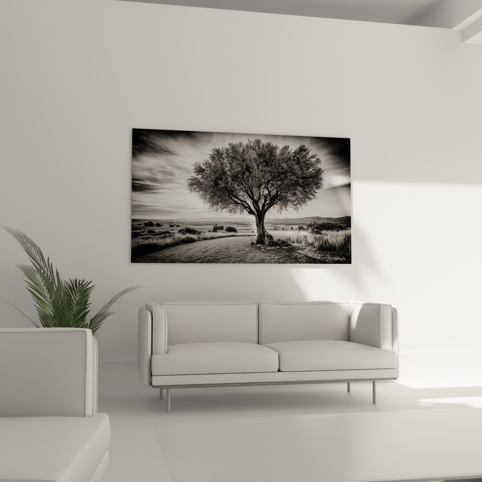 Silhouette d'un olivier majestueux en gris et noir, disposée au-dessus d'un canapé dans un salon lumineux