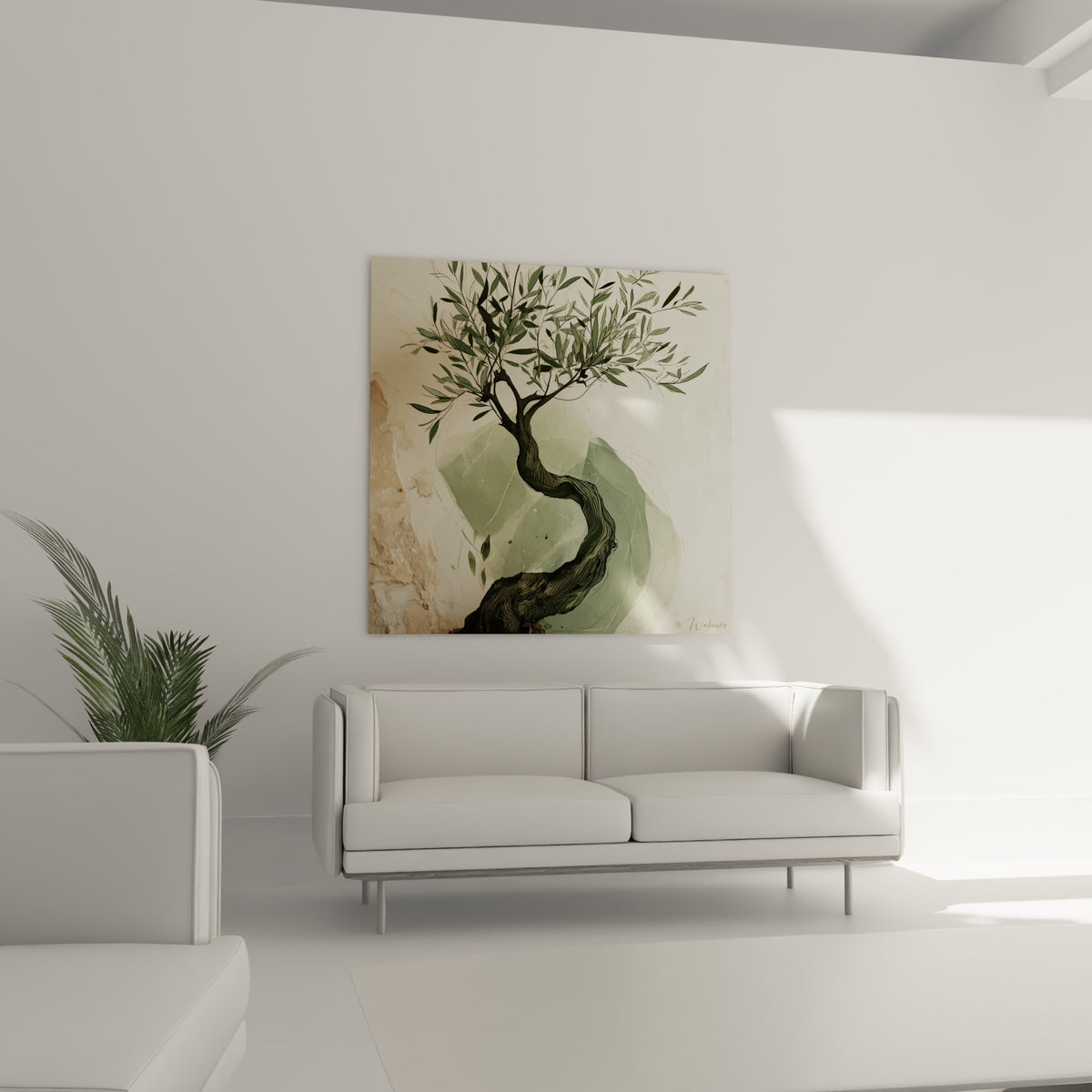 Tronc sinueux et branches vert olive de cet olivier, au-dessus d'un canapé dans un salon lumineux