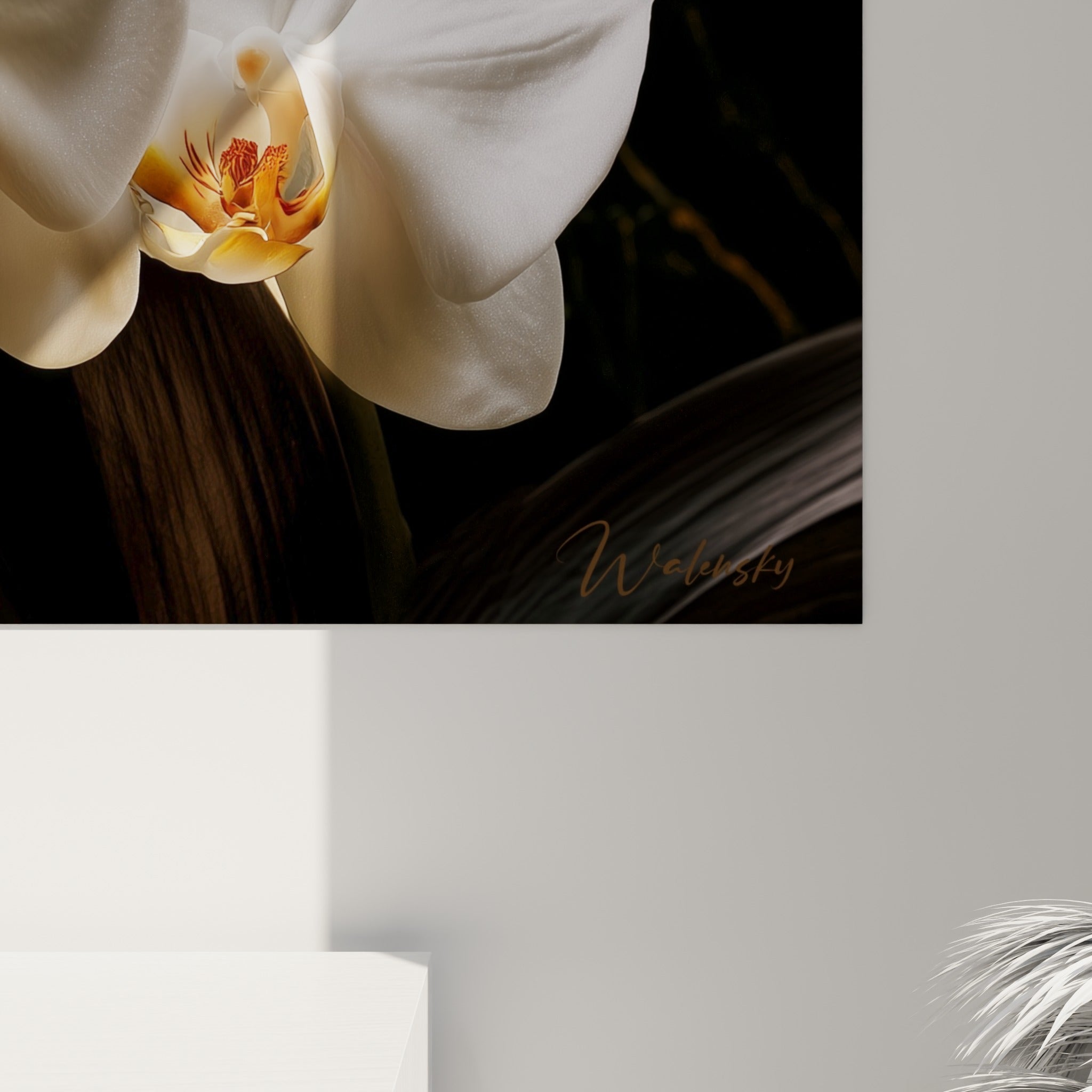 Pétales soyeux de l'orchidée blanche et veines dorées du marbre noir révélant la finesse du grain de l'impression