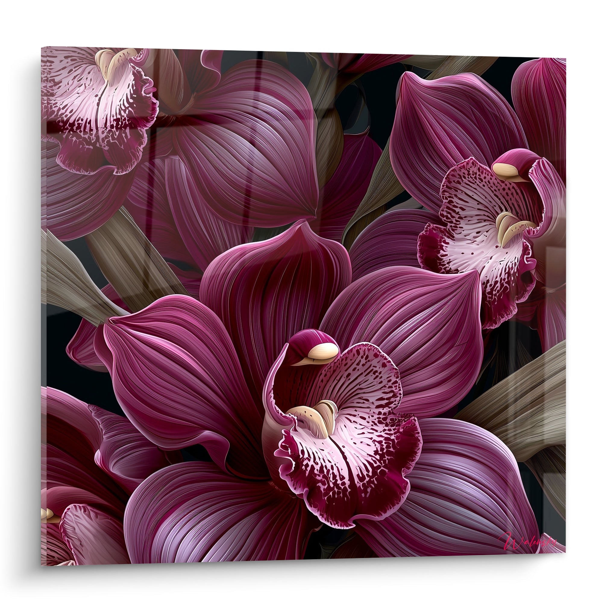Orchidées pourpres aux pétales veloutés et labelles mouchetés crème sur fond anthracite