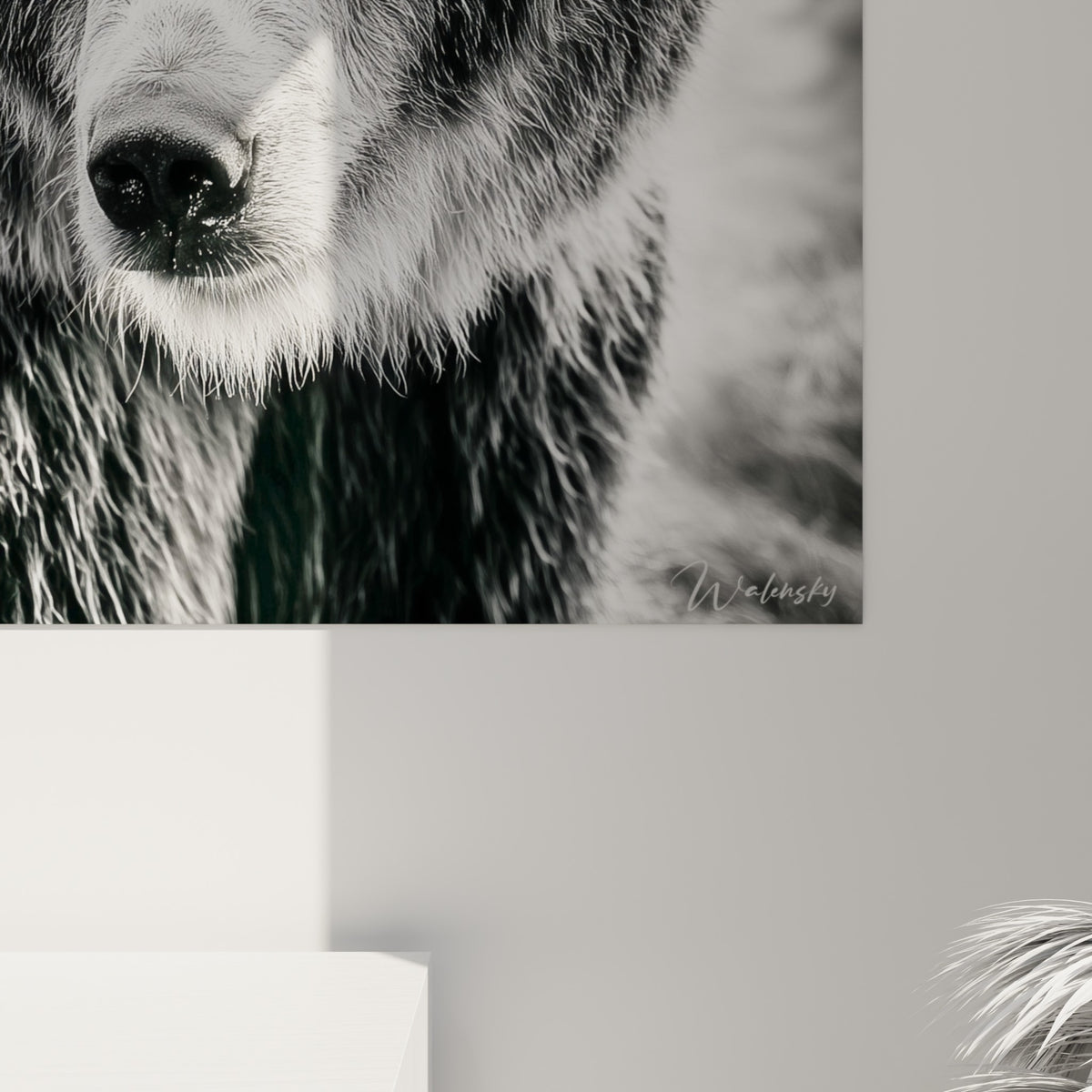 Fourrure texturée de l'ours brun, grain argenté et noir profond visibles de près sur la toile imprimée