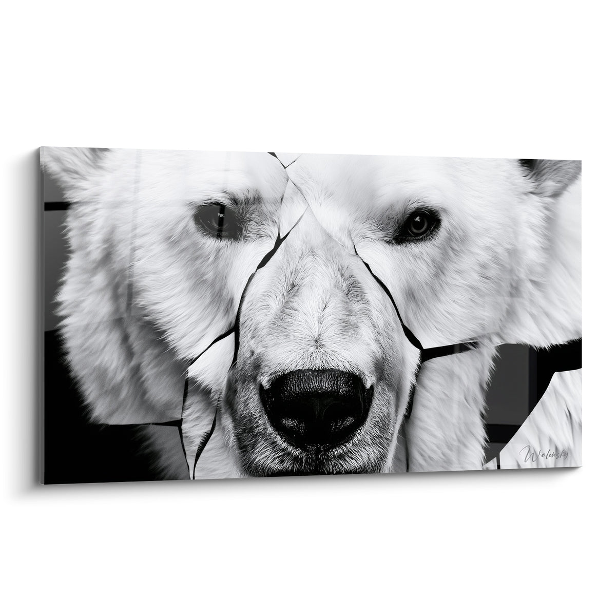 Ours polaire au regard noir intense, museau fissuré en noir et blanc graphique