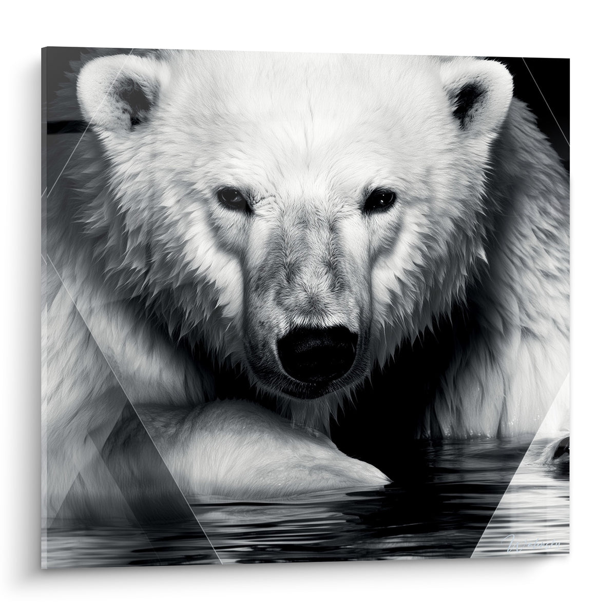 Ours polaire au regard noir intense, pelage blanc texturé émergeant d'une eau sombre profonde