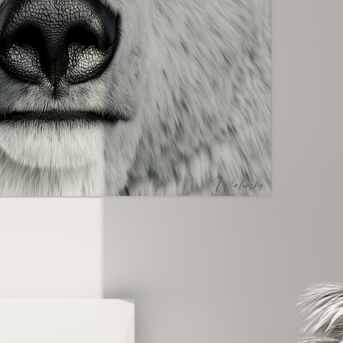 Texture fine du pelage blanc et grain tissé du chapeau anthracite de l'ours polaire, détail rapproché