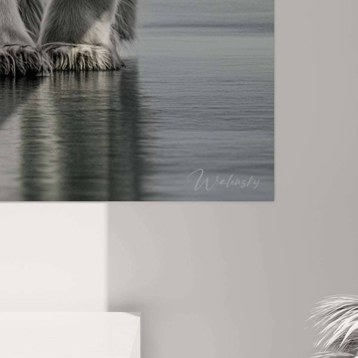 Détail du pelage texturé blanc et gris de l'ours polaire, reflets glacés visibles en gros plan
