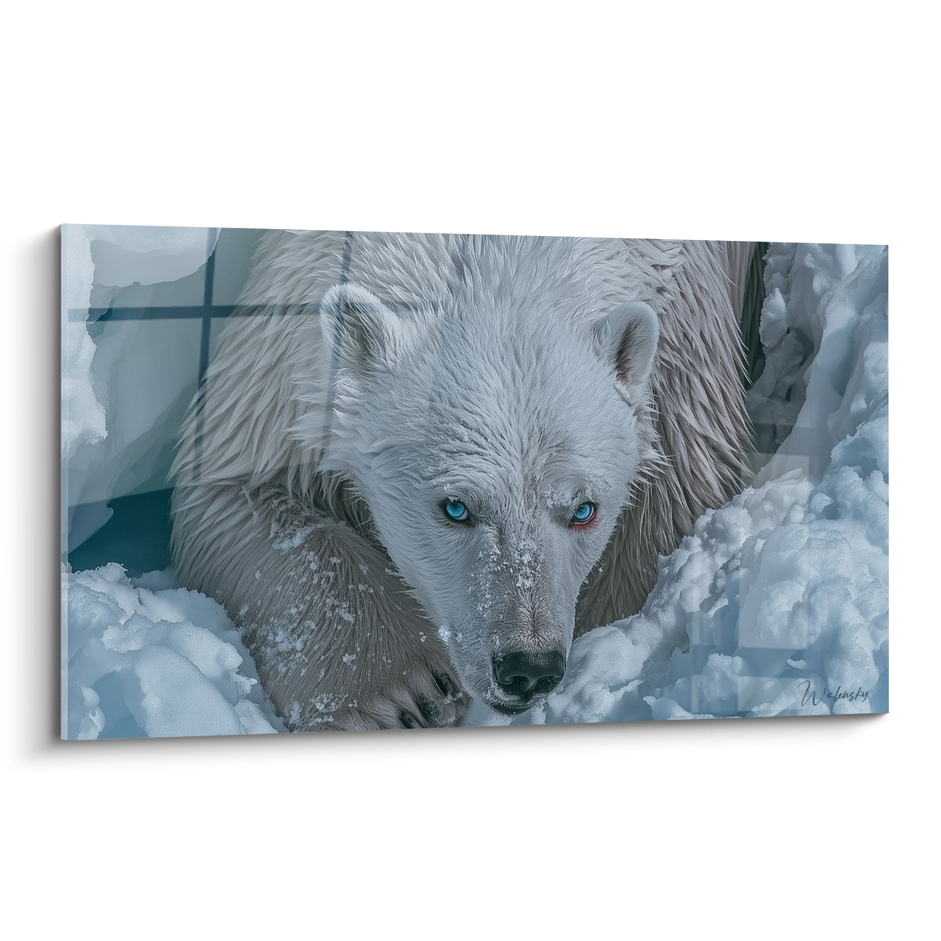 Ours polaire au regard bleu glacier perçant, fourrure blanche givrée, gros museau noir humide