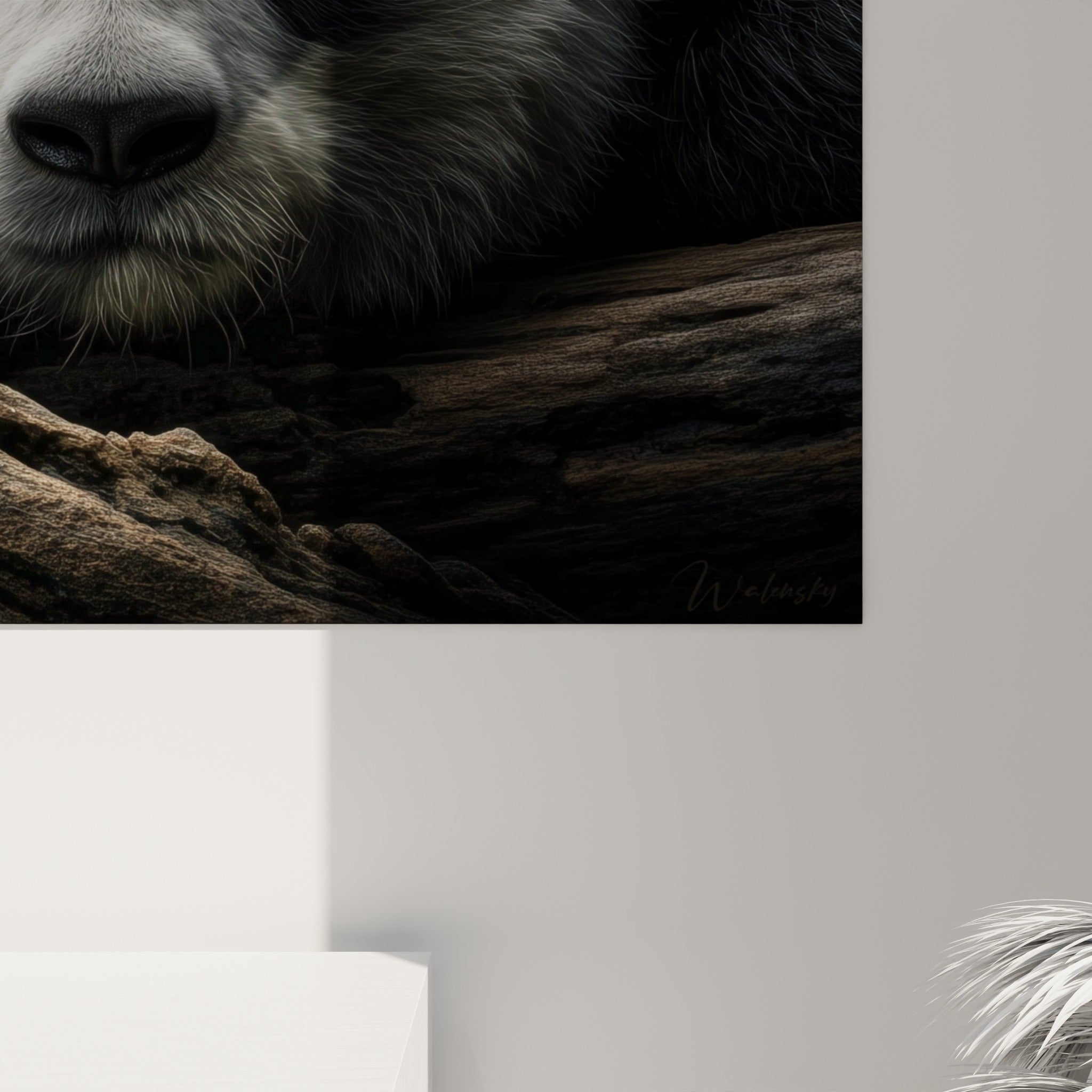 Détail du pelage blanc et noir du panda, grain du bois brun visible en gros plan
