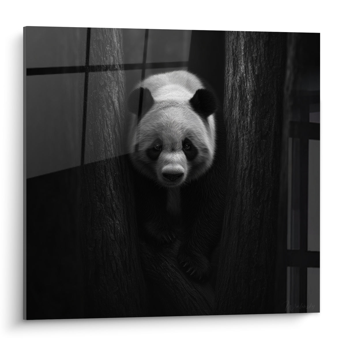 Panda blanc et noir surgissant entre deux troncs sombres, regard fixe et pelage texturé