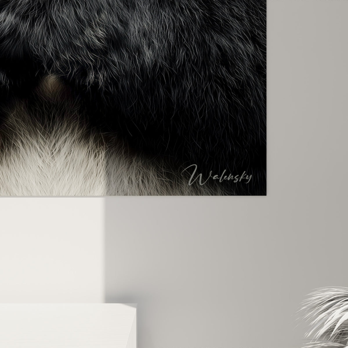 Grain de la fourrure blanche et noire du panda, textures fines et regard brun visibles de près