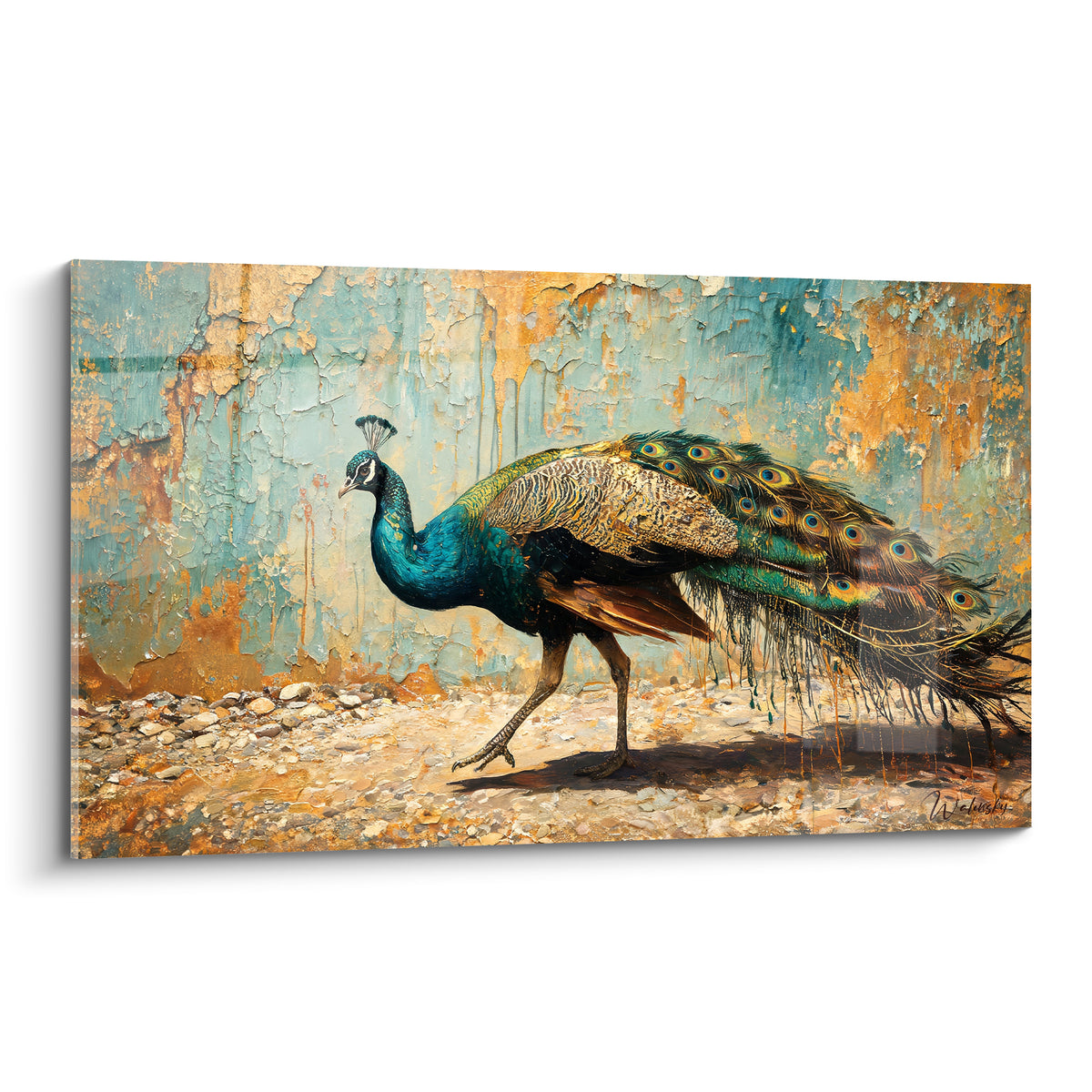 Paon aux plumes bleu turquoise et dorées marchant devant un mur patiné ocre et céladon