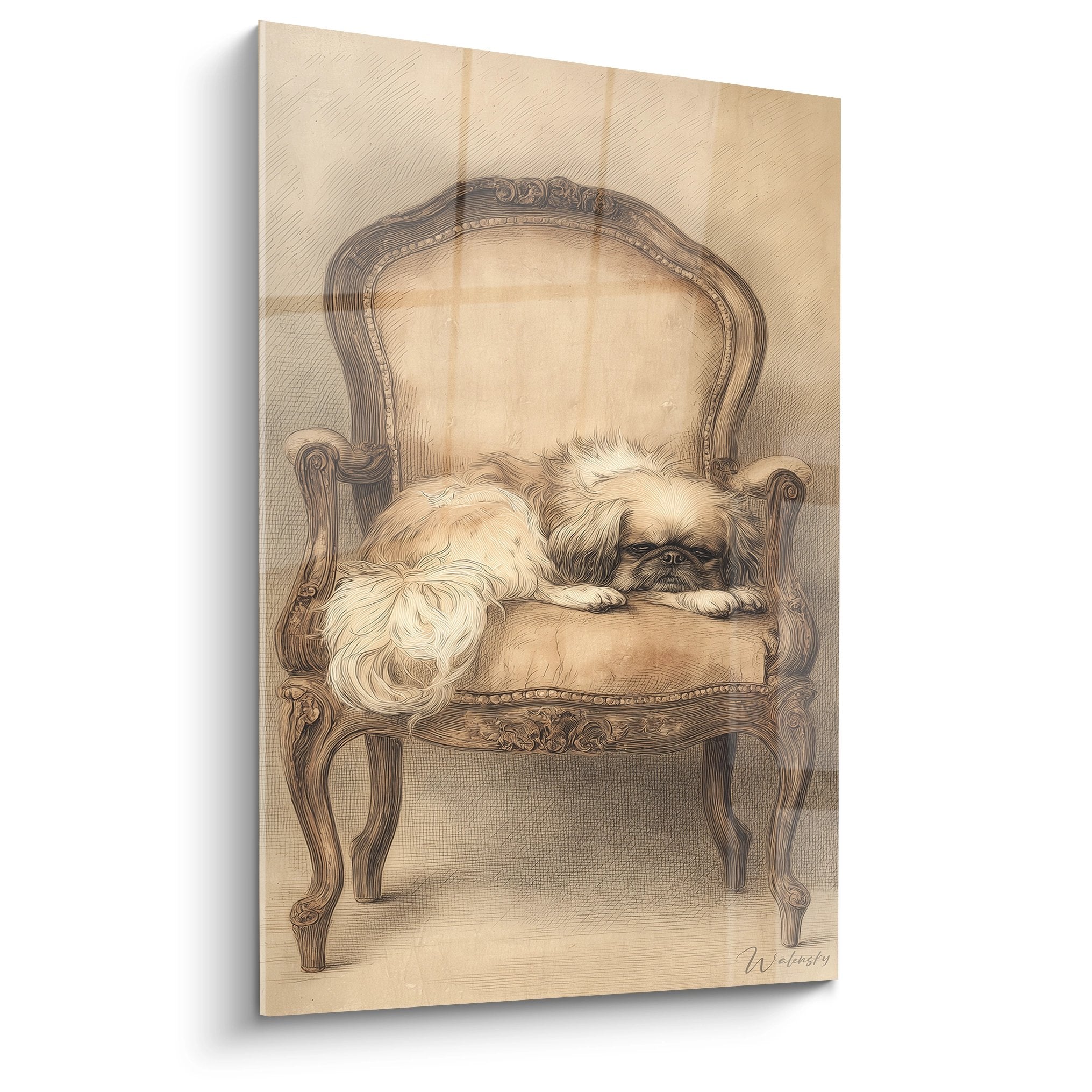 Tableau gravure Pékinois endormi sur fauteuil Louis XV, tons dorés sépia, style vintage