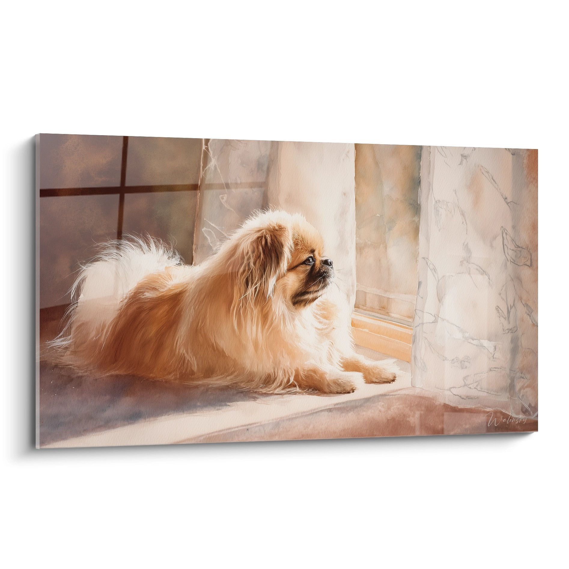 Tableau pékinois fauve aux longs poils dorés près d'une fenêtre dans lumière naturelle chaude et apaisante