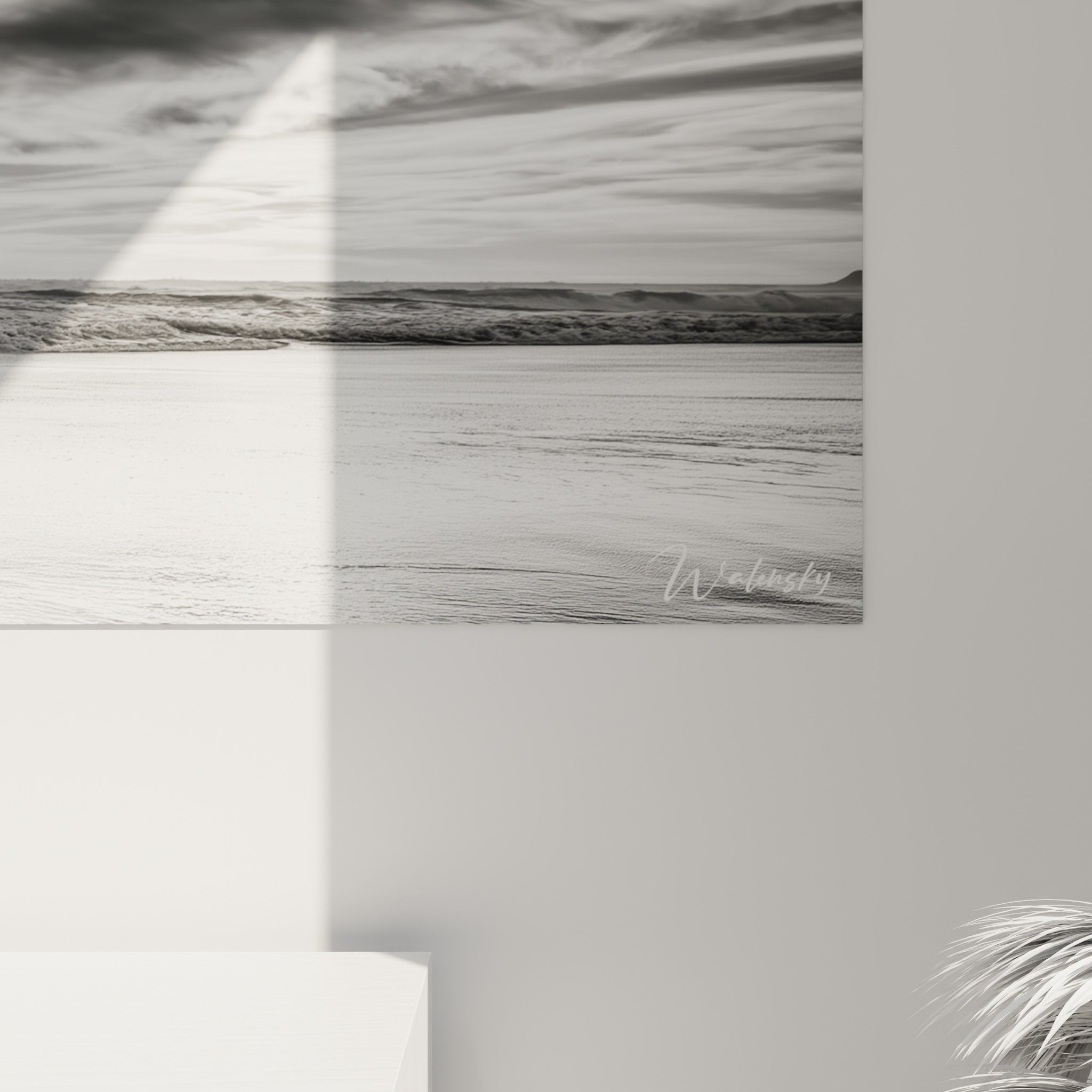 Grain photographique révélant les plumes anthracite et le sable blanc scintillant sous la lumière rasante