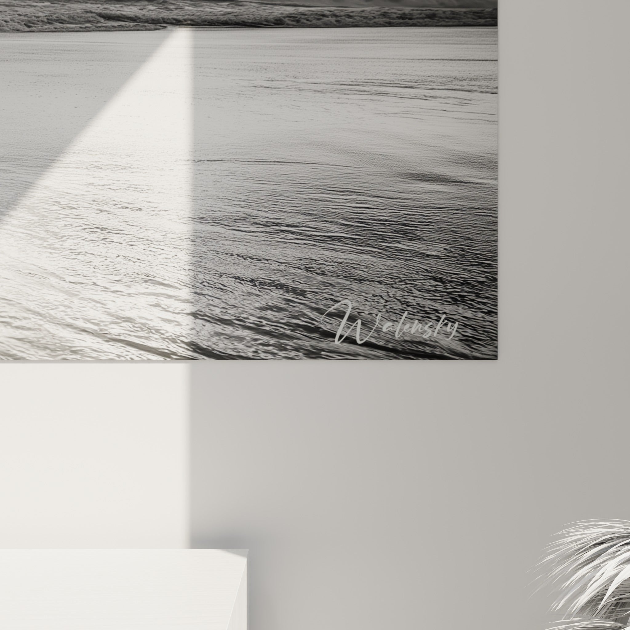 Détail des plumes noires et blanches des manchots et du grain du sable, visible en gros plan sur l'impression