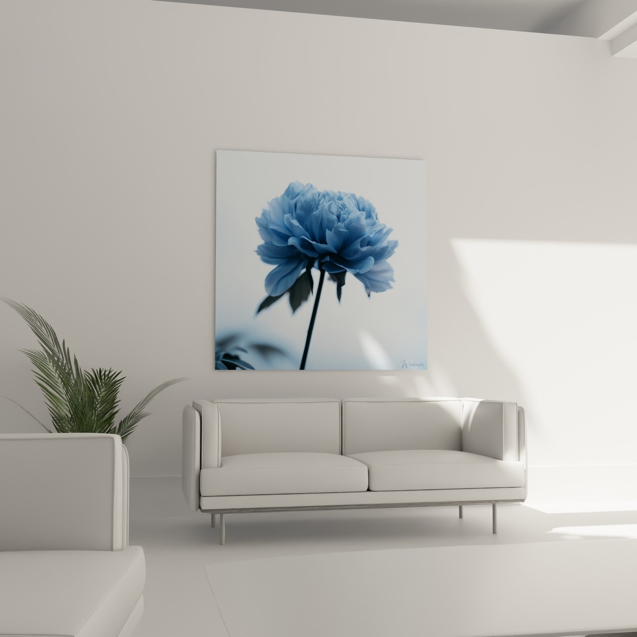 Corolle de pivoine bleu pastel et tige sombre au-dessus d'un canapé dans un salon lumineux