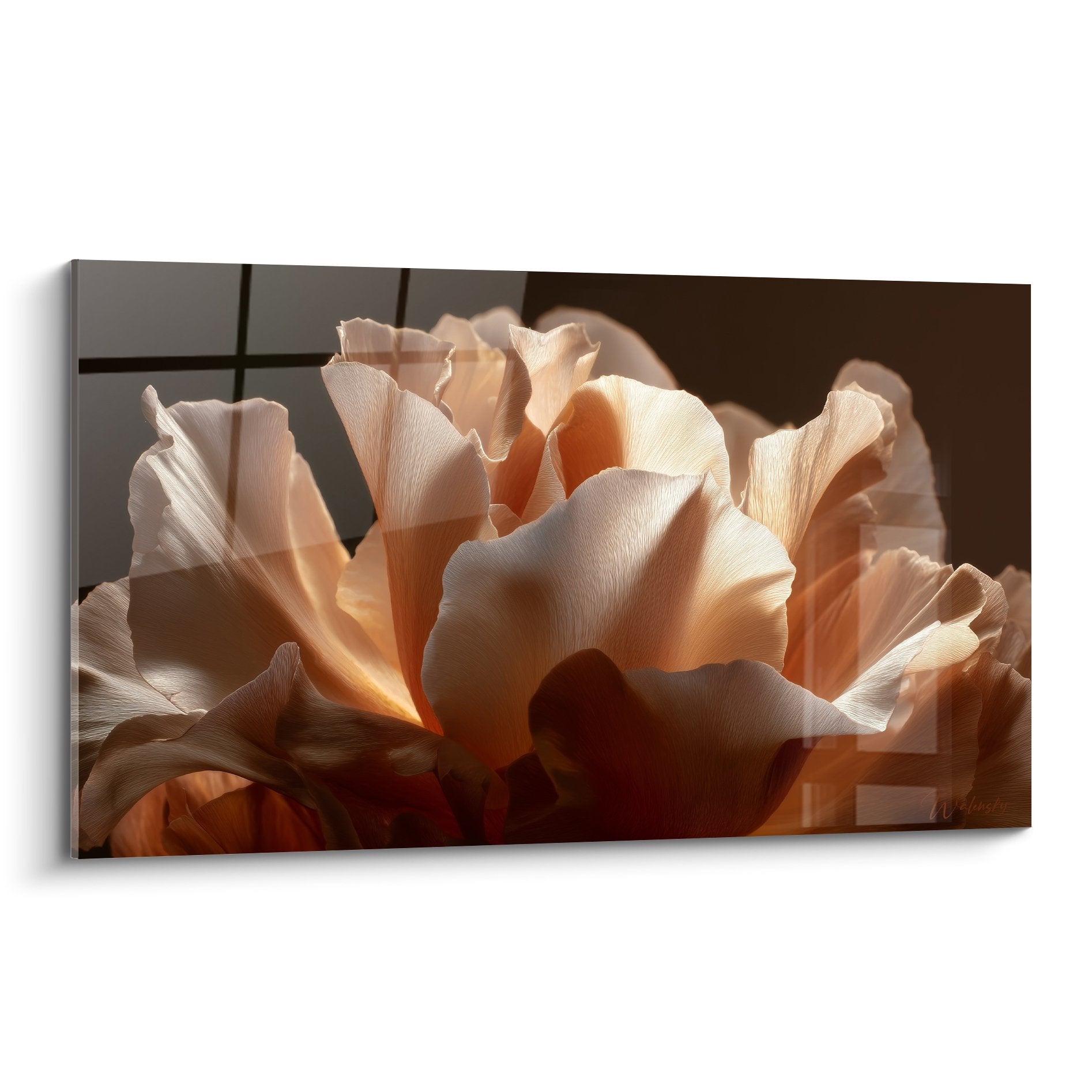 Tableau pivoine couleur peche petales delicats lumiere doree feng shui sud-ouest terre decoration florale