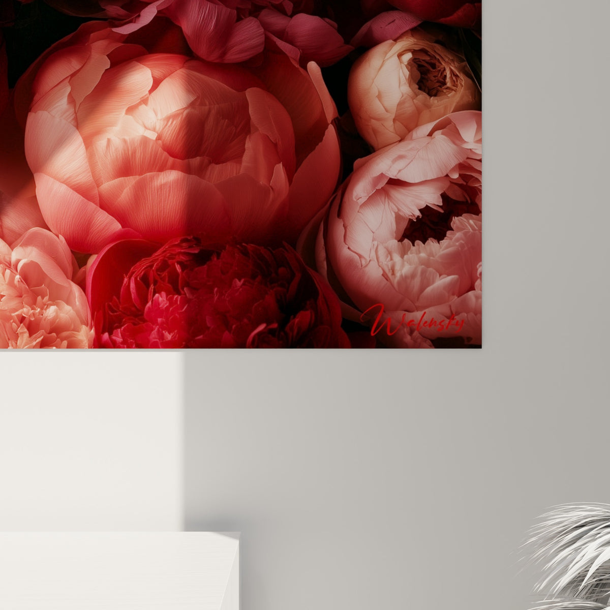 Pétales de pivoine en gros plan, textures froissées entre rose pâle et rouge bordeaux