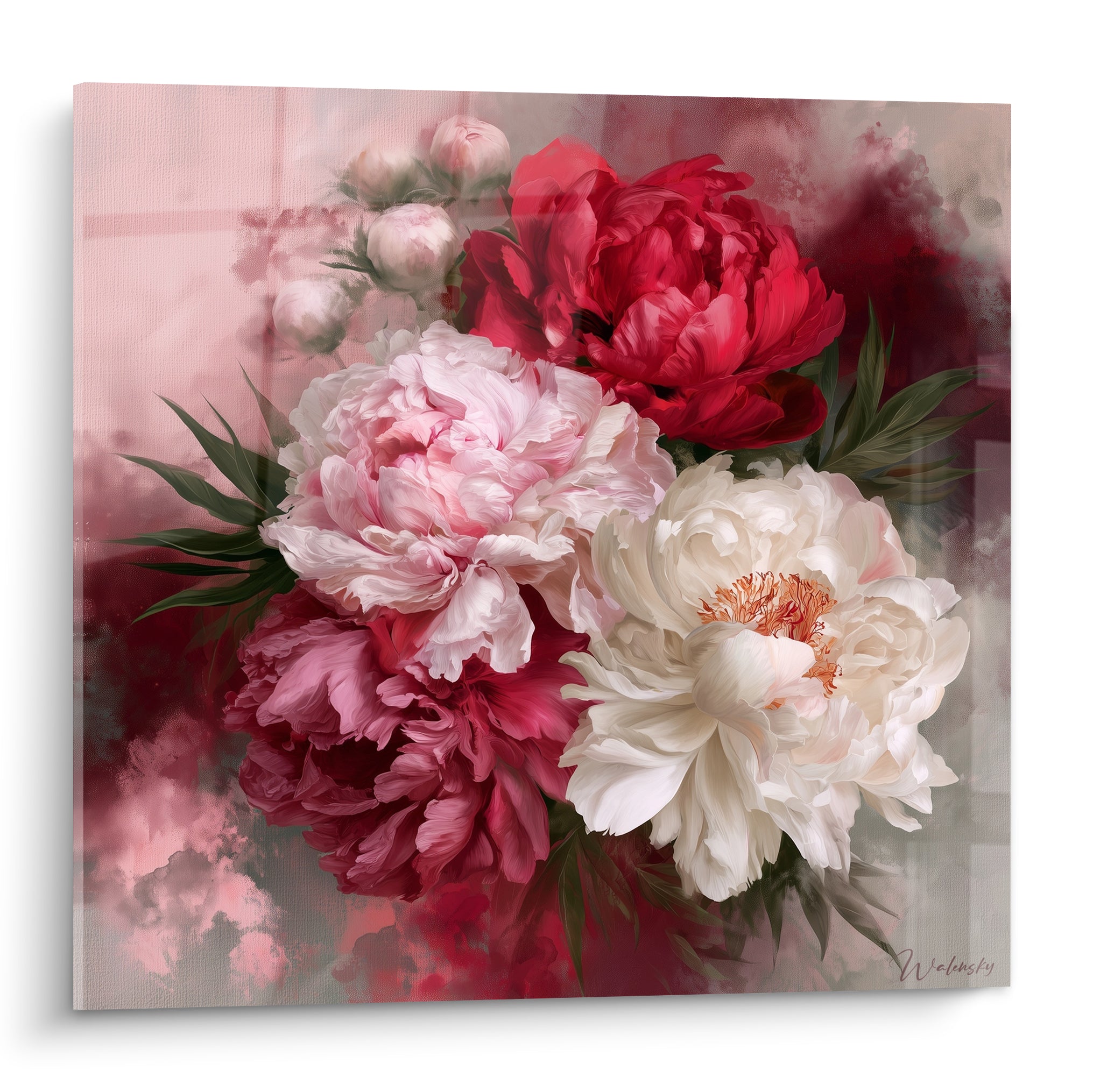Pivoines rouge et blanc épanouies sur fond rosé vaporeux, pétales froissés au réalisme délicat
