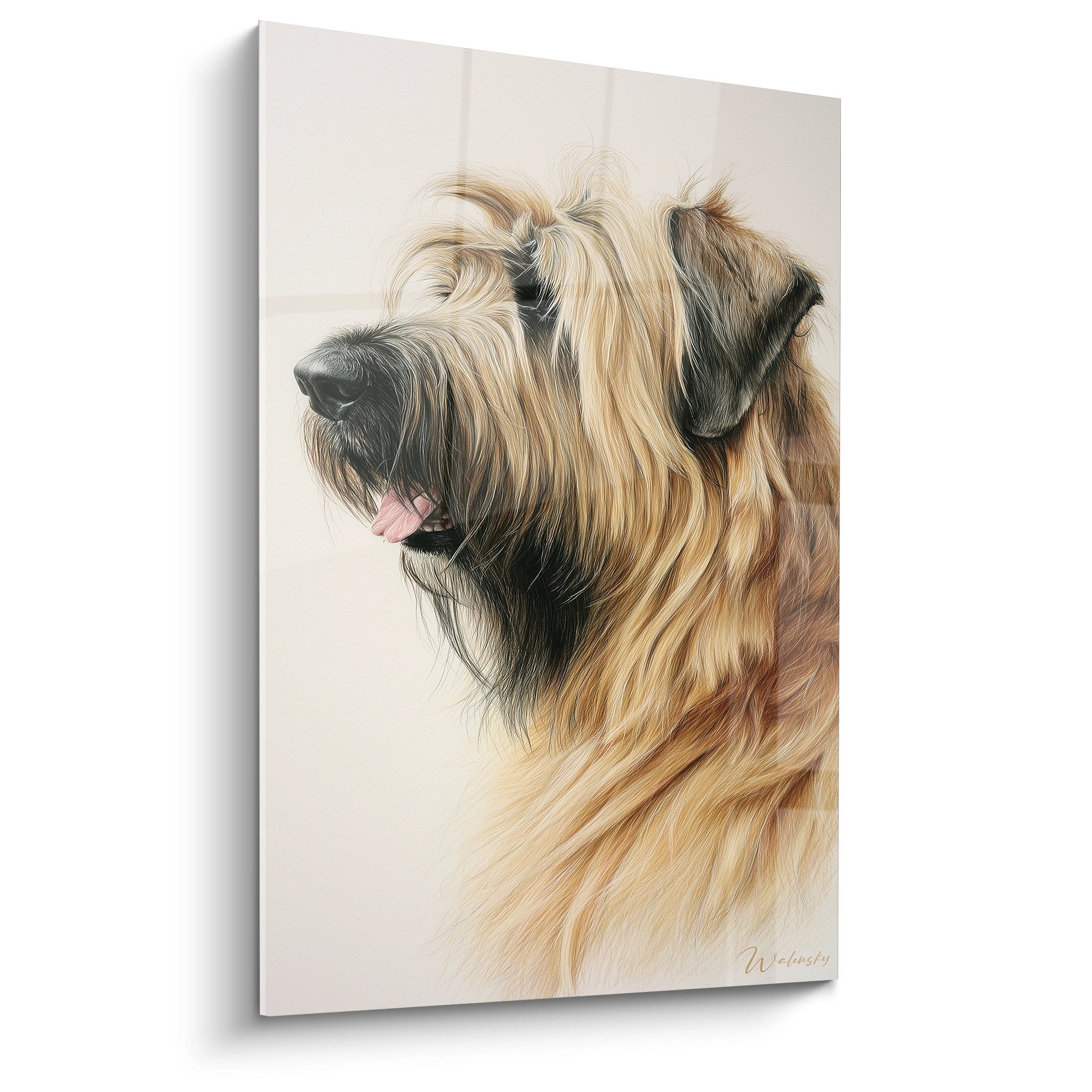 Portrait de profil d'un chien Briard au pelage fauve et doré, regard noble sur fond beige clair