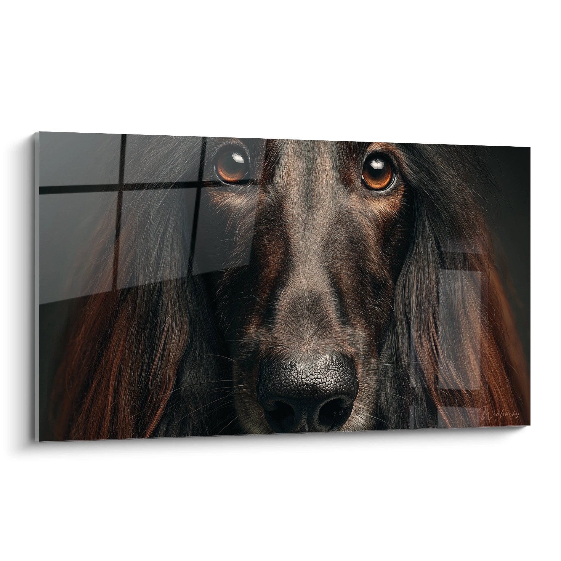 Portrait rapproché de Lévrier Afghan aux yeux ambrés et pelage brun soyeux sur fond flou - tableau mural