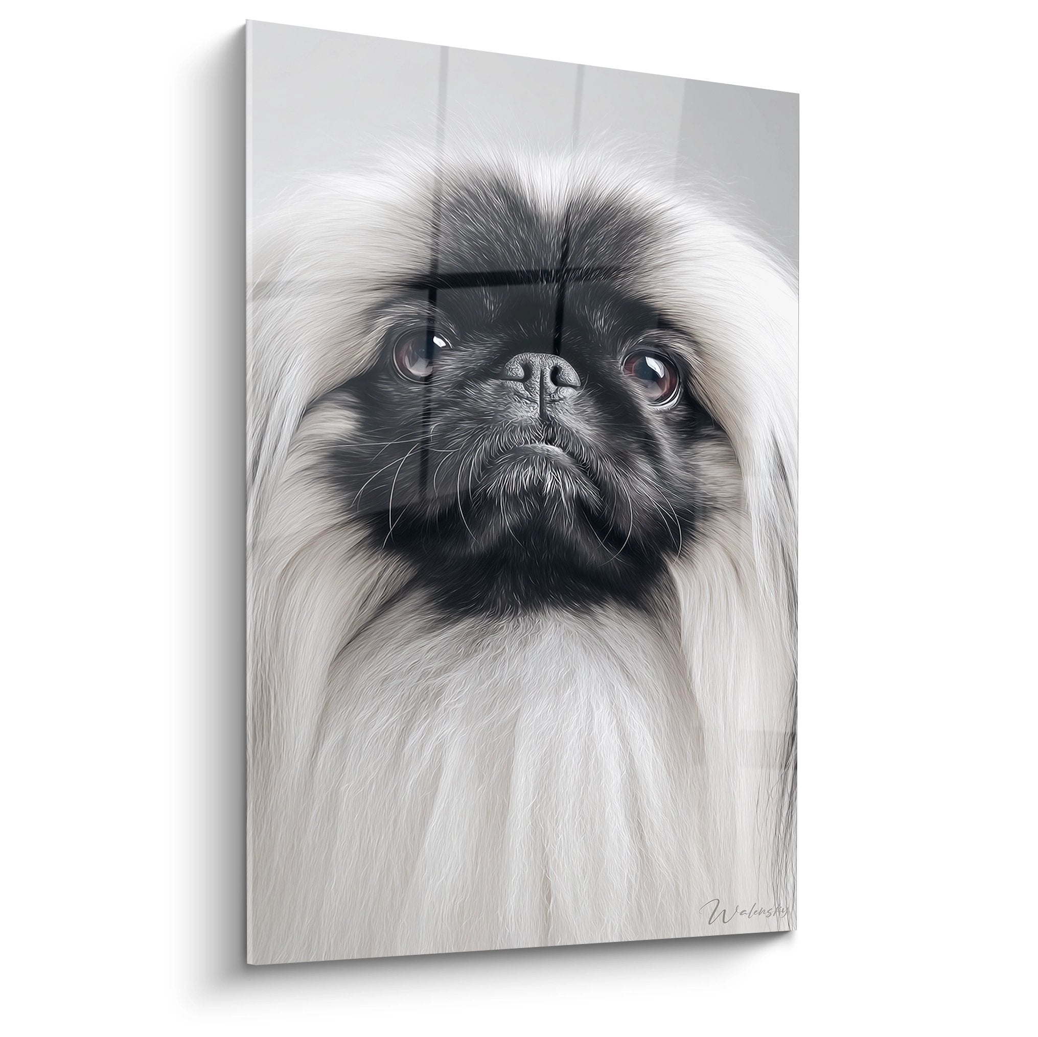 Realistic portrait painting Pekingese expressive gaze white and black fur hyperrealistic technique