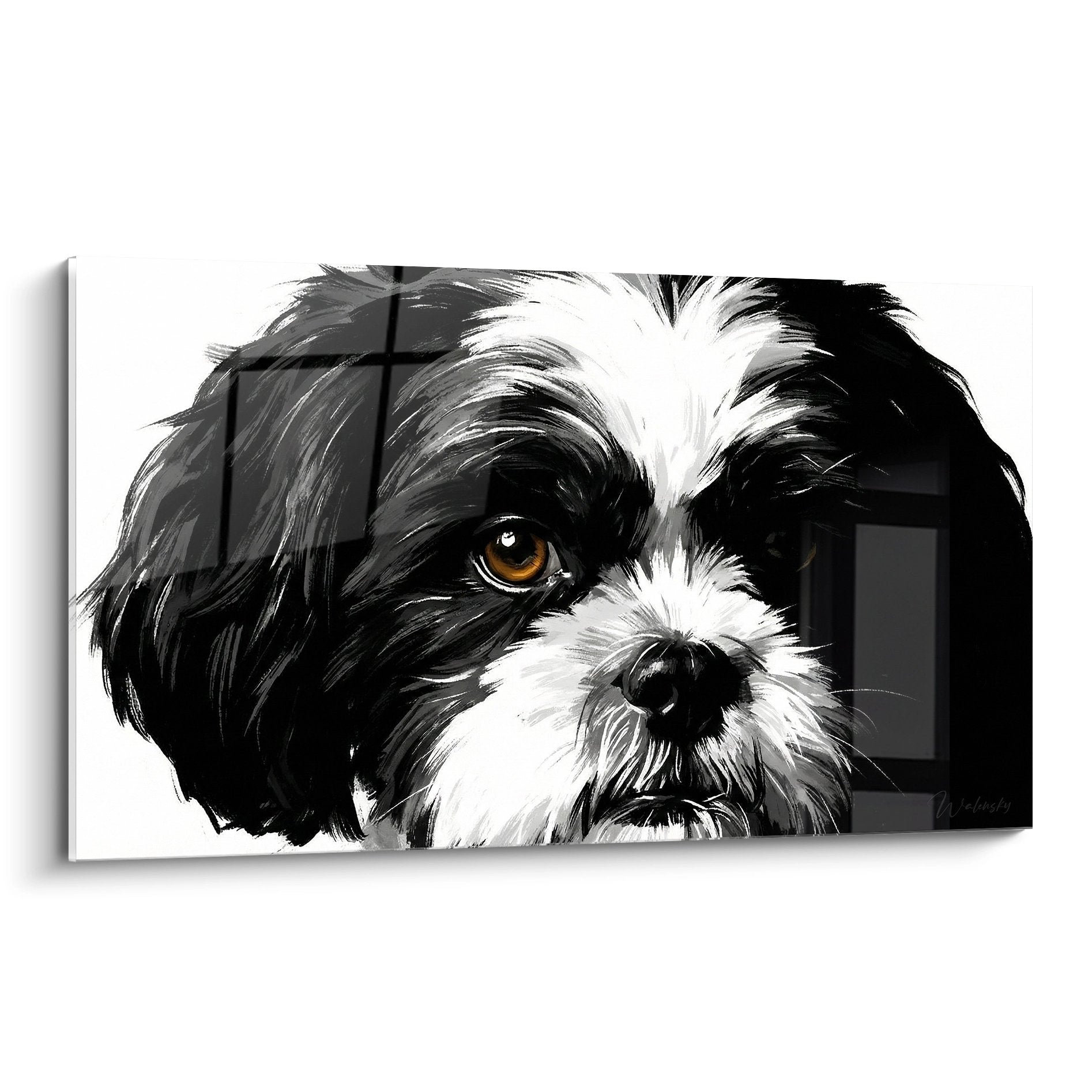Ritratto artistico Shih Tzu bianco nero occhi dorati sguardo intenso quadro murale moderno
