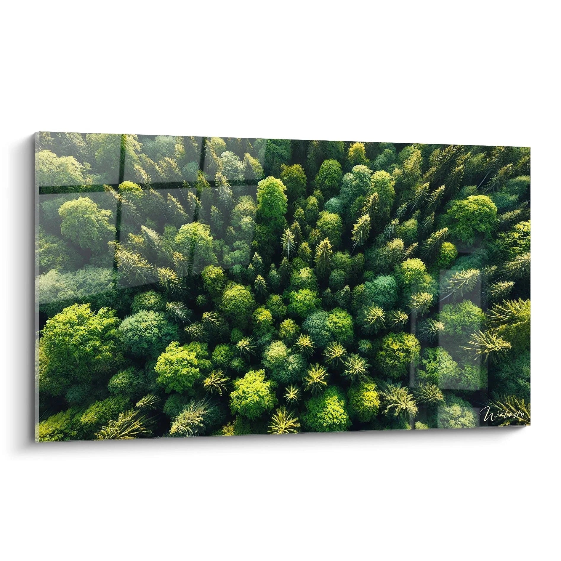 tableau Arbre vu de biais capture la majesté de la forêt et révèle chaque détail vibrant des cimes d'une forêt émeraude qui inspire sérénité et vitalité dans une touche contemporaine