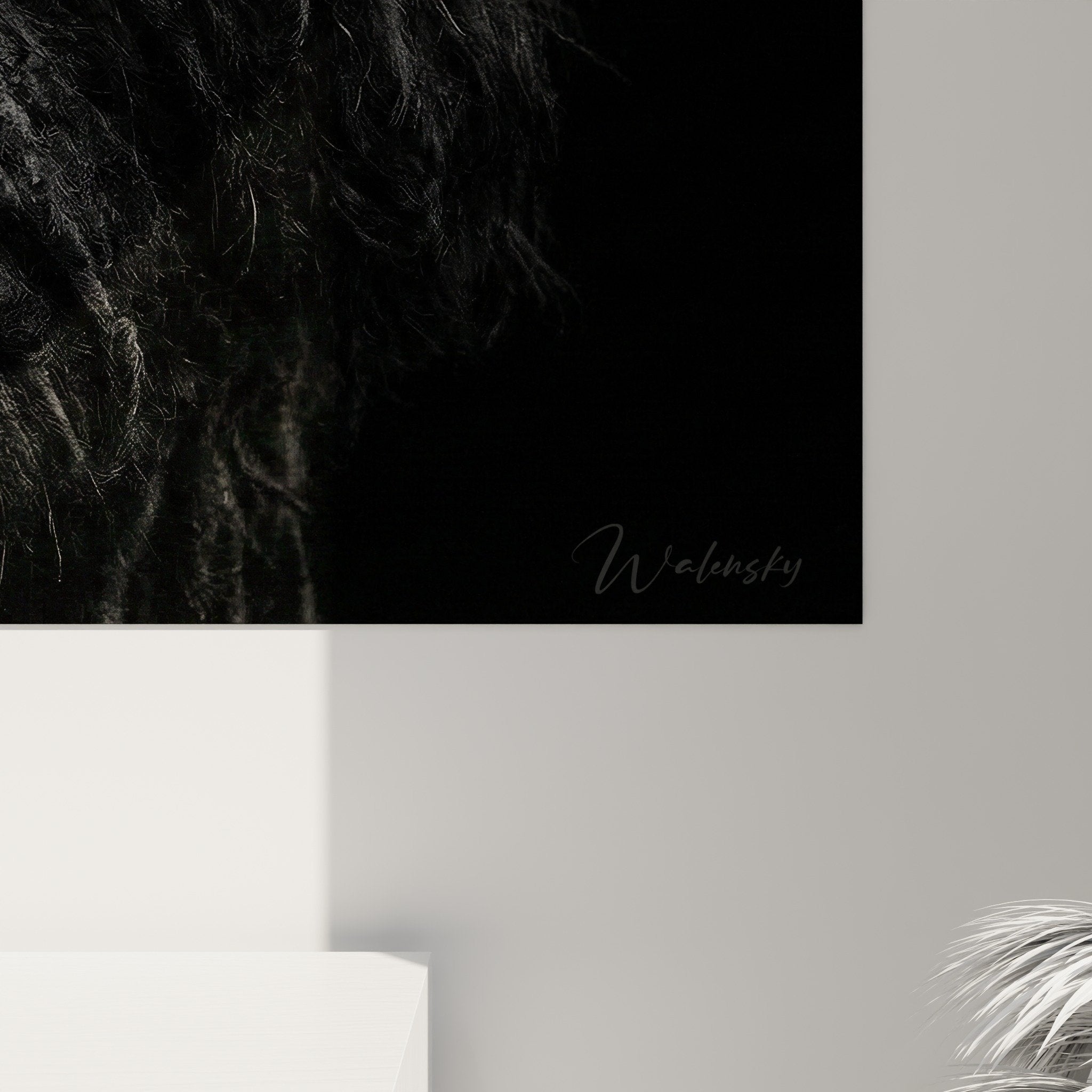 Vue d'ensemble du portrait canin Puli en noir et blanc dans un intérieur contemporain épuré