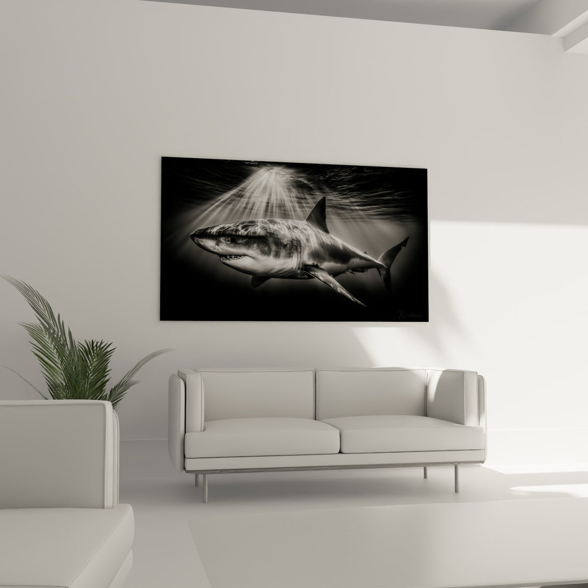 Prédateur marin noir et blanc aux nageoires déployées, au-dessus d'un canapé dans un salon lumineux