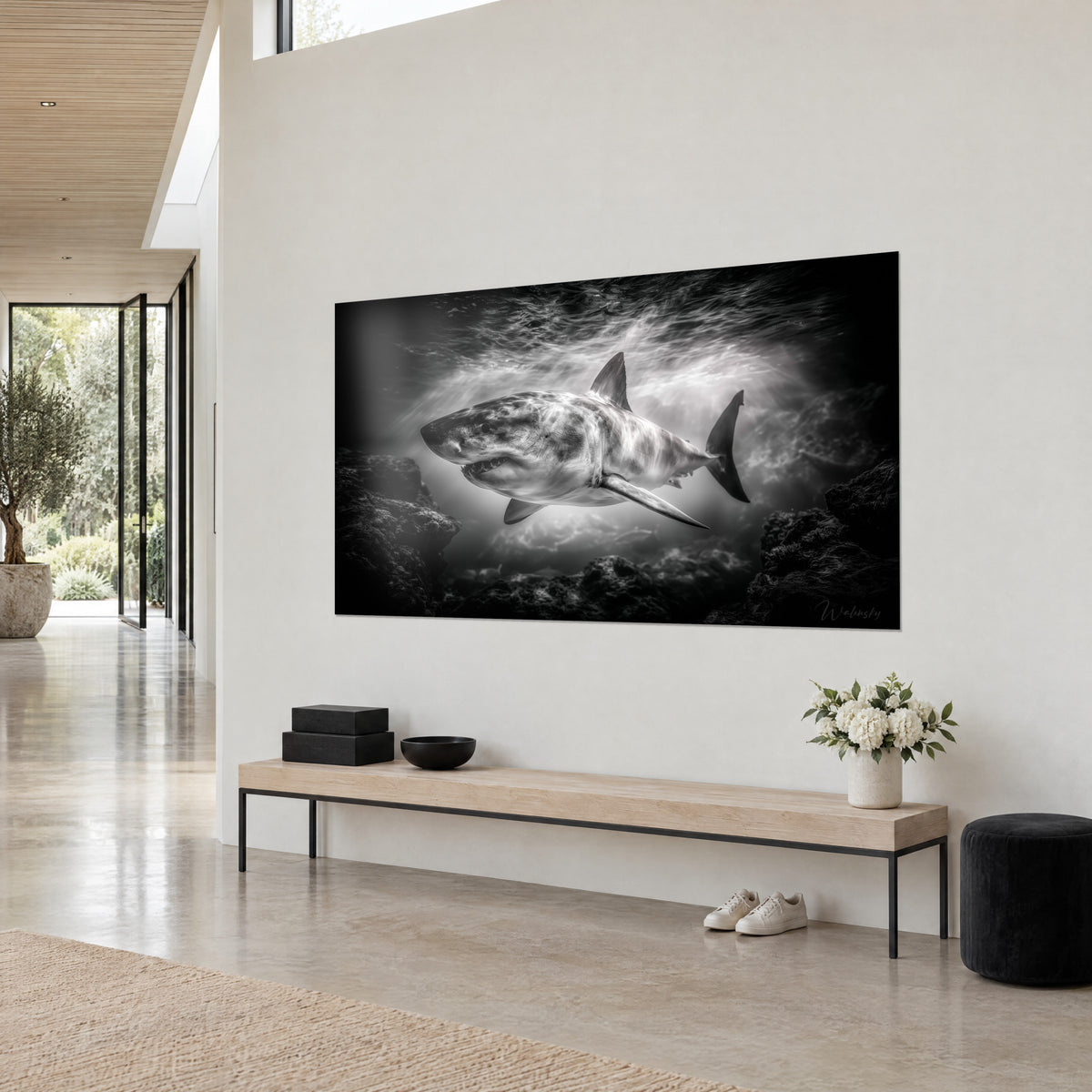 Wall art monochrome shark, grey dorsal fin and pearly white belly on charcoal black background, three-quarter view in a light living room, wooden bench