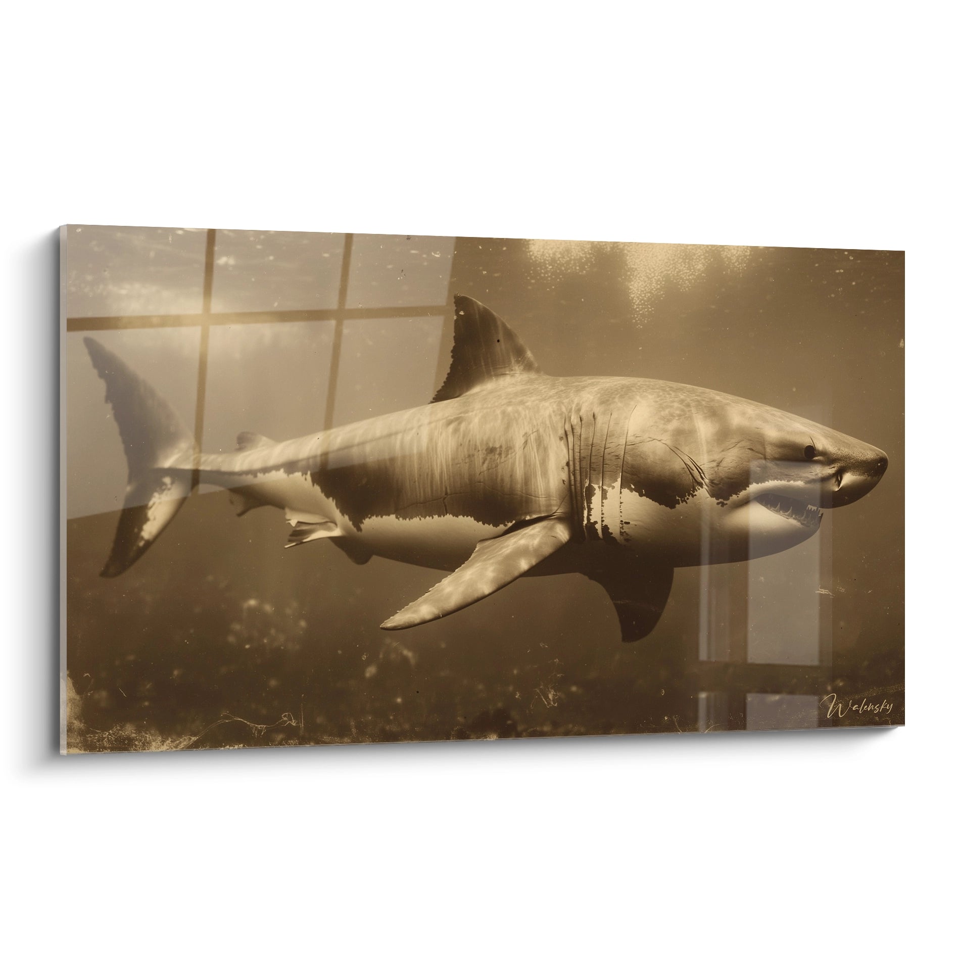 Tableau mural requin mégalodon doré - Art moderne prédateur marin préhistorique tons ambrés