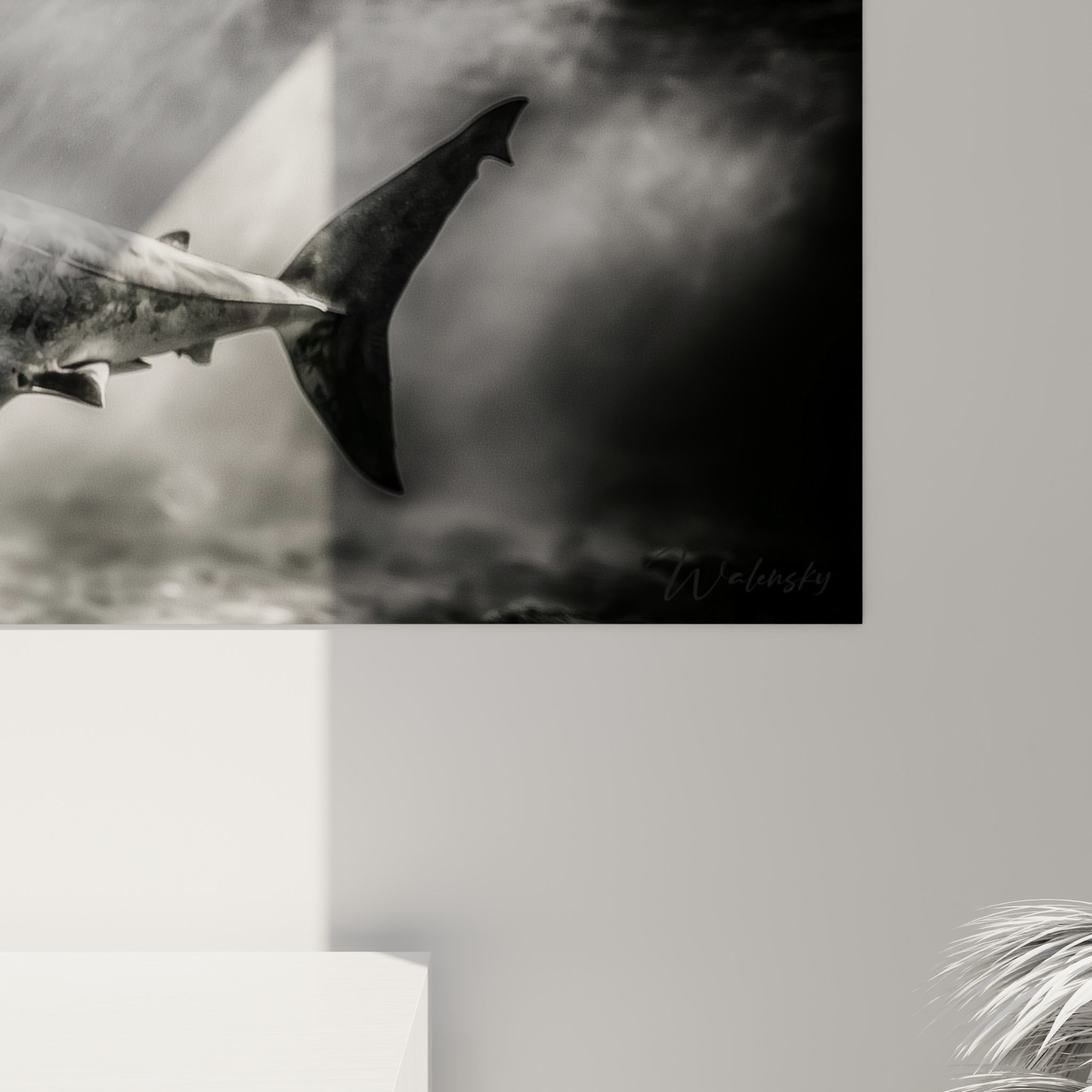 Peau grainée du requin en gris anthracite et blanc, empâtements visibles, coulures d'ombre sur la toile