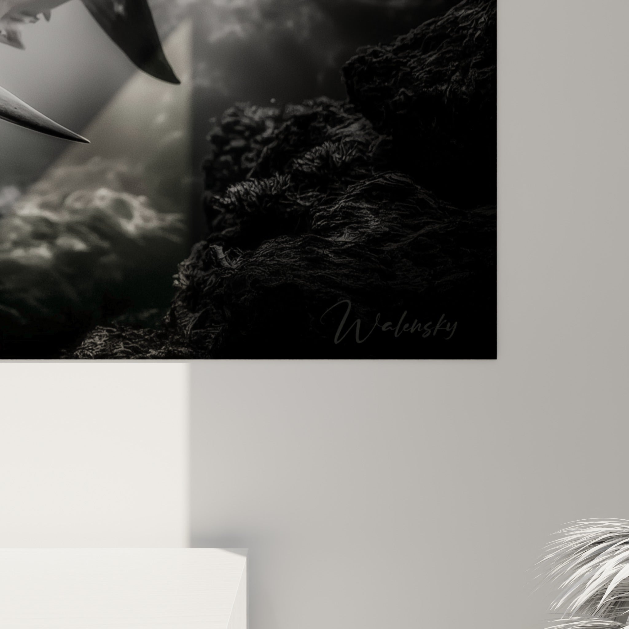 Détail de la texture grise et blanche de la peau du requin, grain photographique intense en gros plan