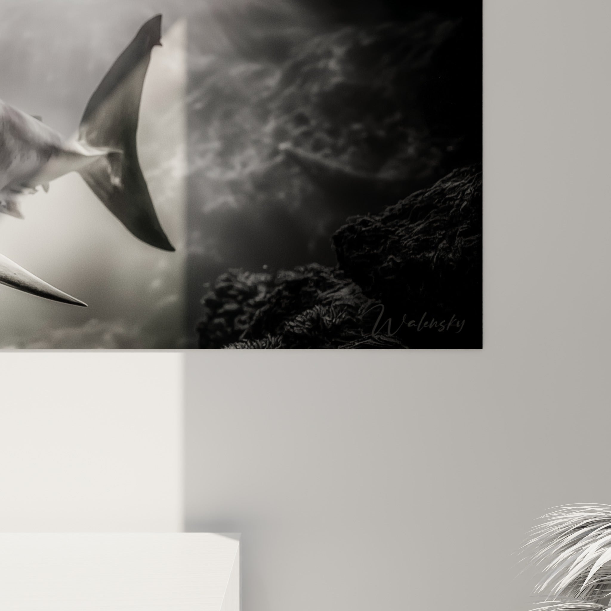 Détail de la peau grise granuleuse et des reflets blancs du requin sur la toile imprimée