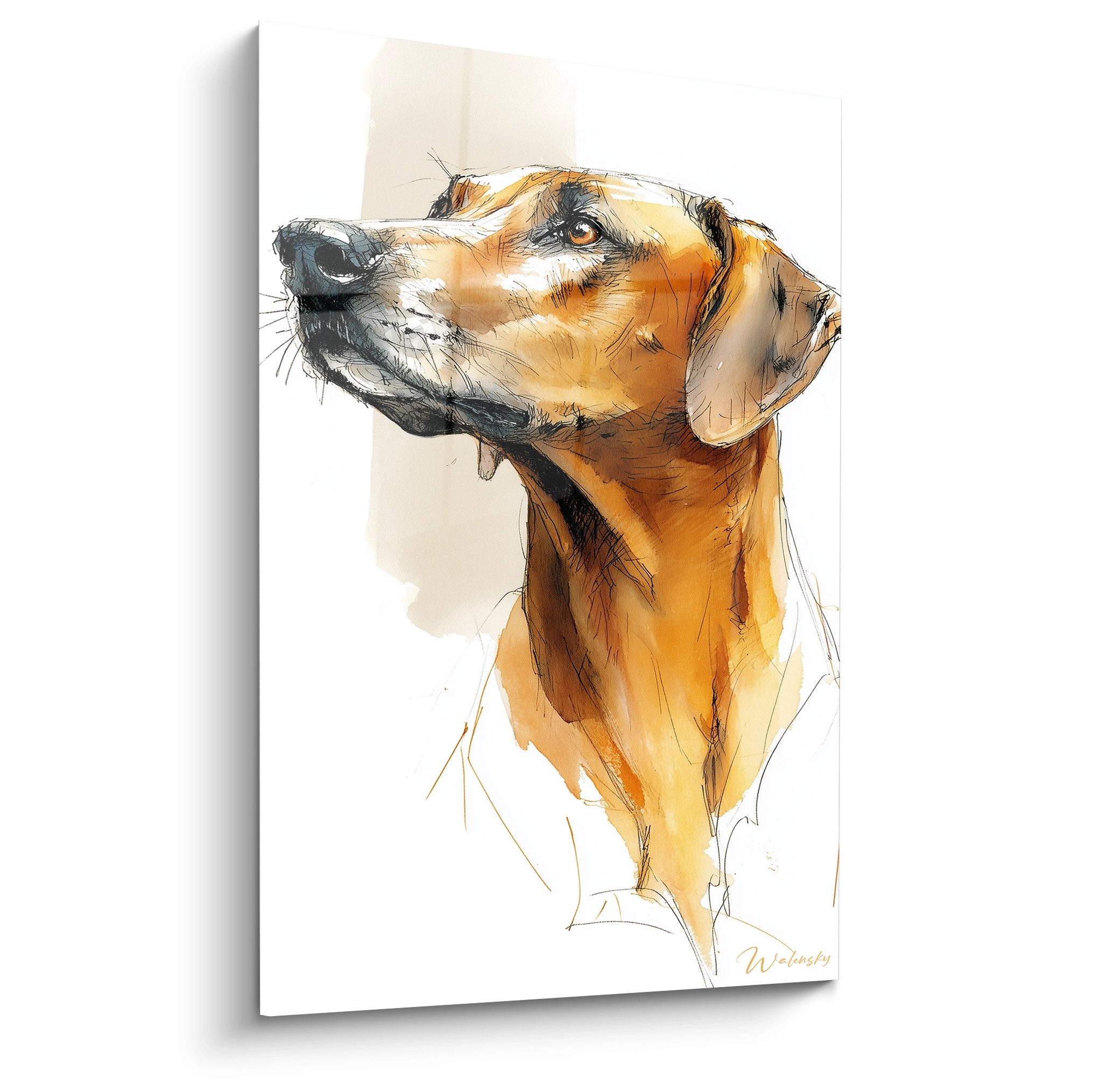 Portrait aquarelle d'un Rhodesian Ridgeback fauve au regard levé, technique artistique expressive sur fond beige