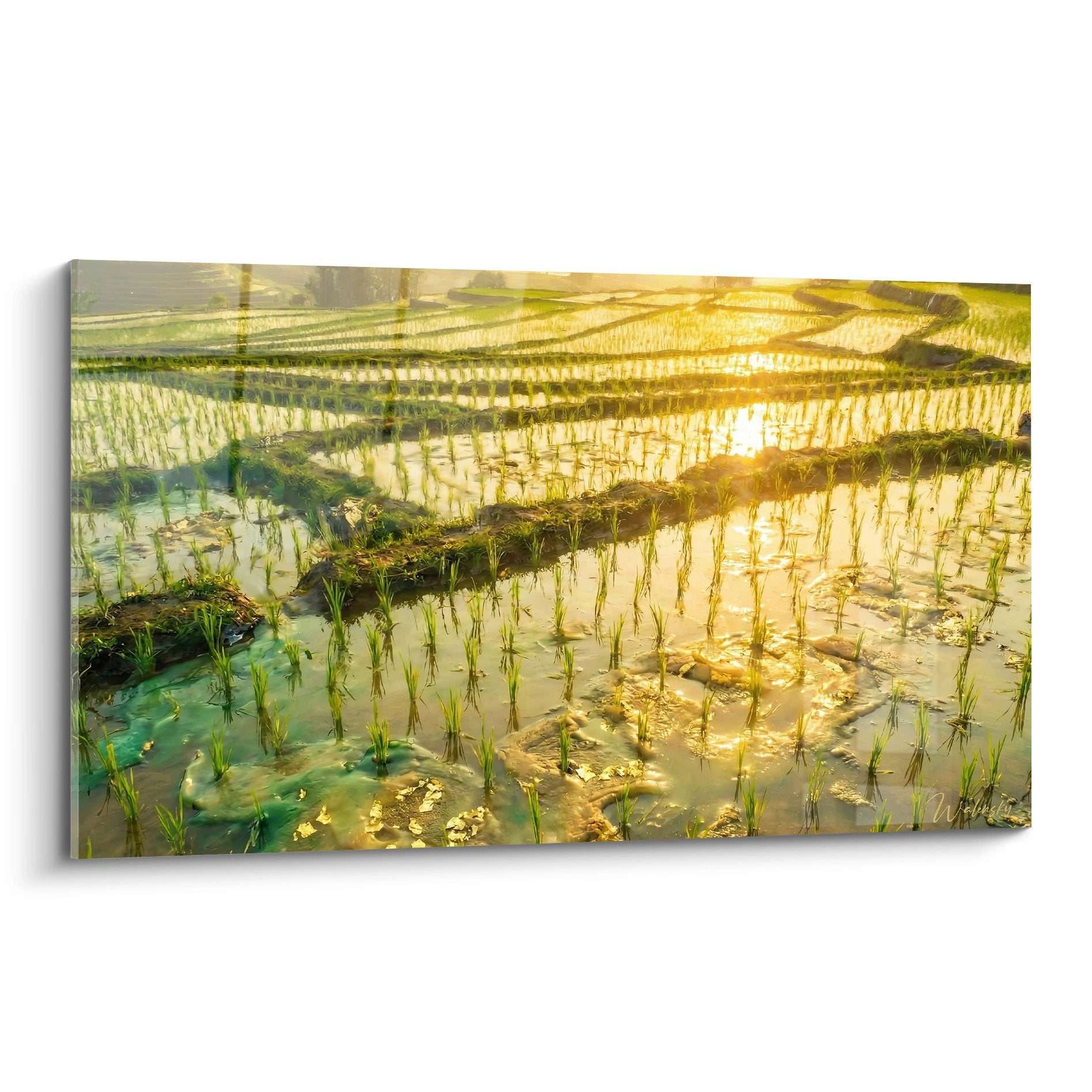 tableau rizieres terrasses bali coucher soleil reflets dores turquoise eau paysage zen