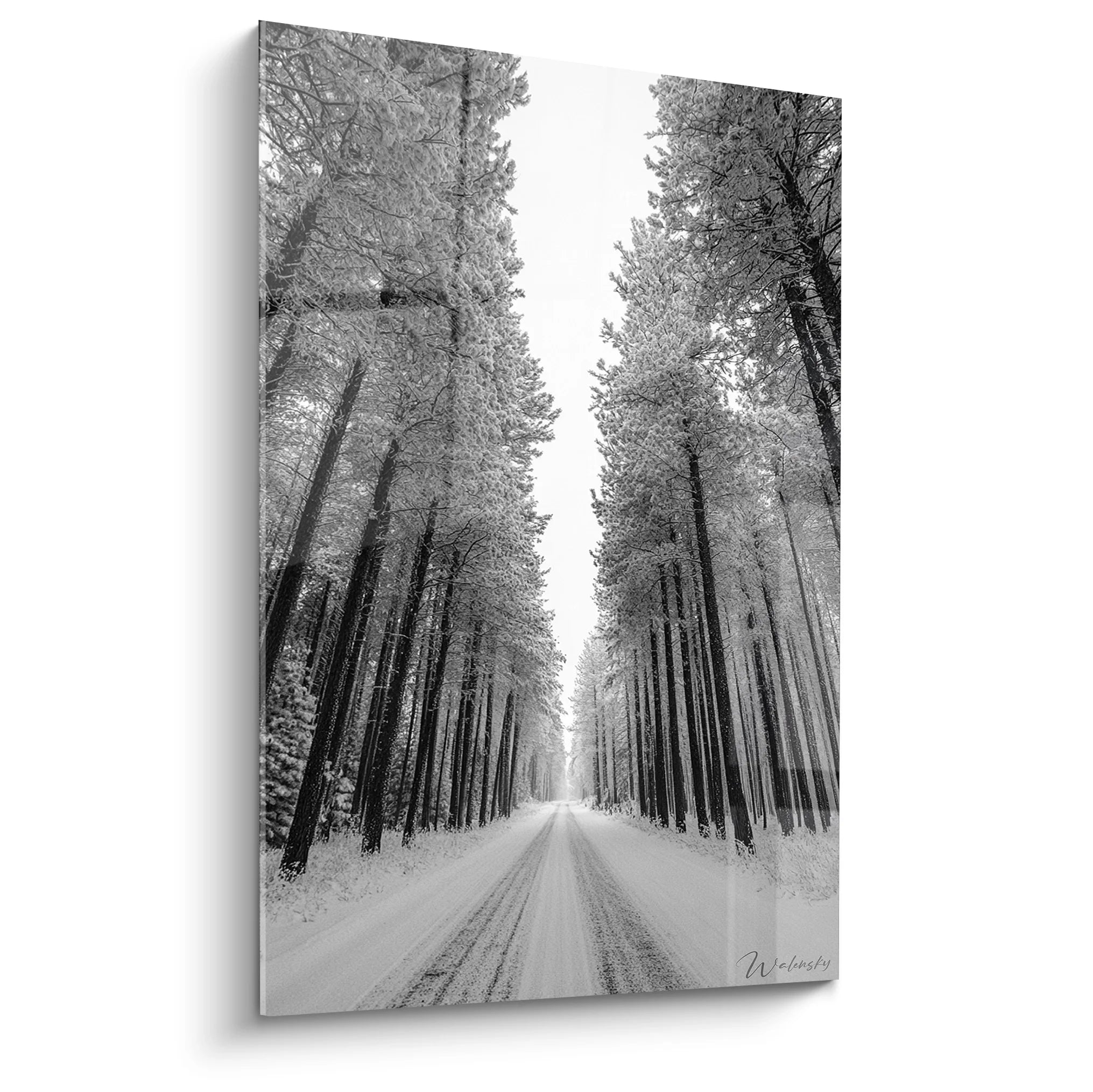 Tableau noir et blanc route forestière enneigée entre arbres givrés pour décoration murale moderne