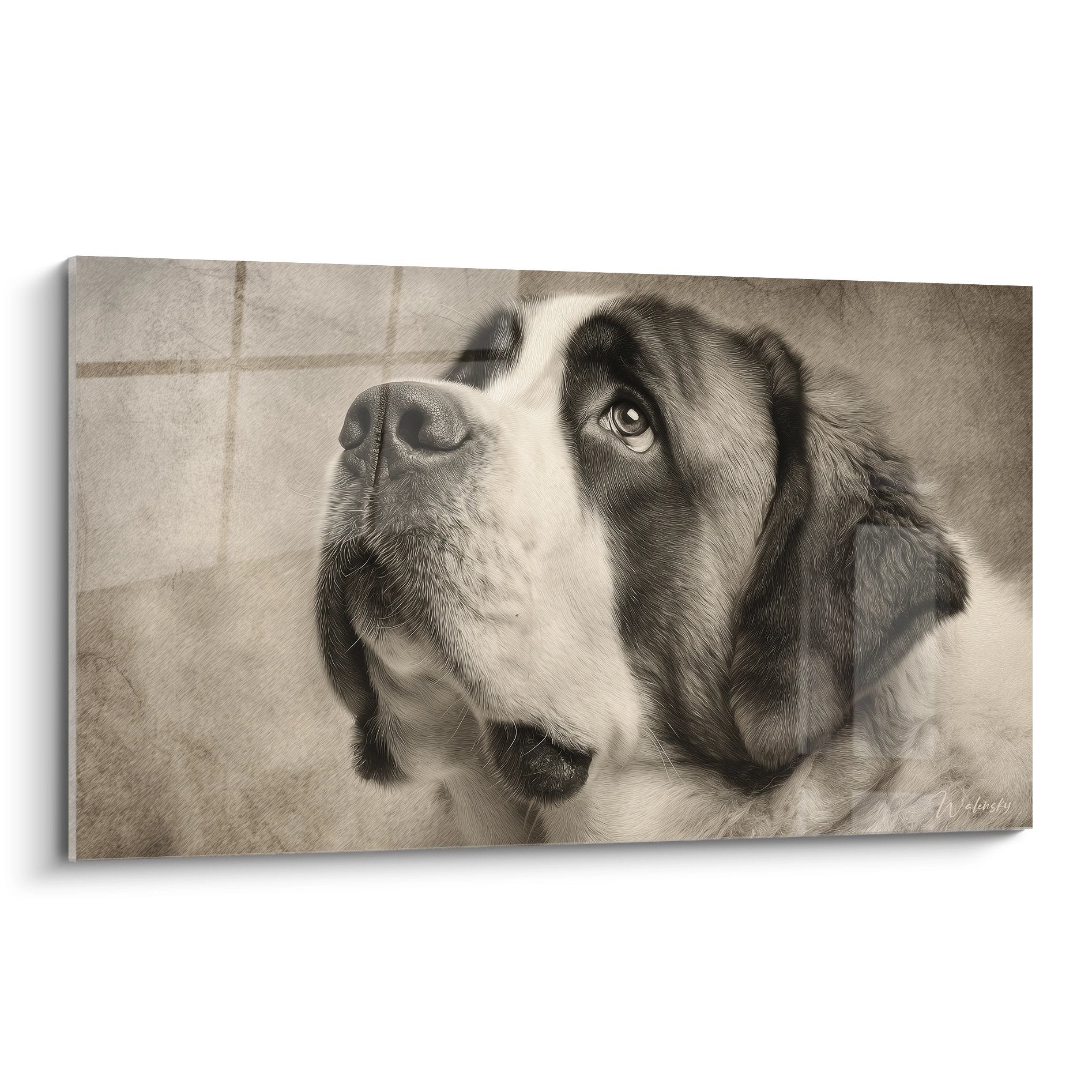 Portrait artistique Saint Bernard tons sepia regard expressif yeux clairs pelage brun blanc tableau mural