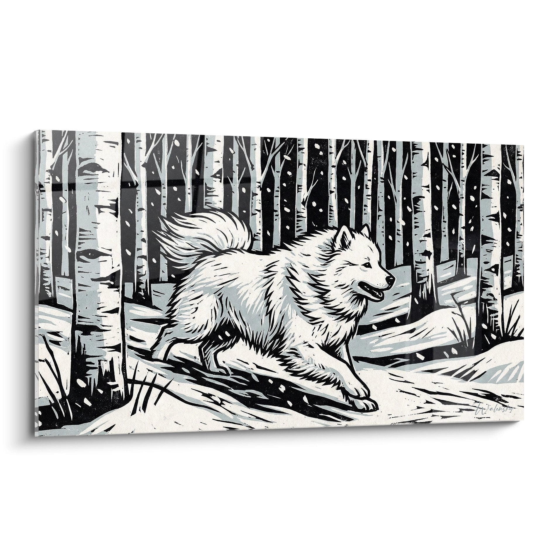 Tableau noir et blanc Samoyede courant dans foret bouleaux avec flocons neige style linogravure