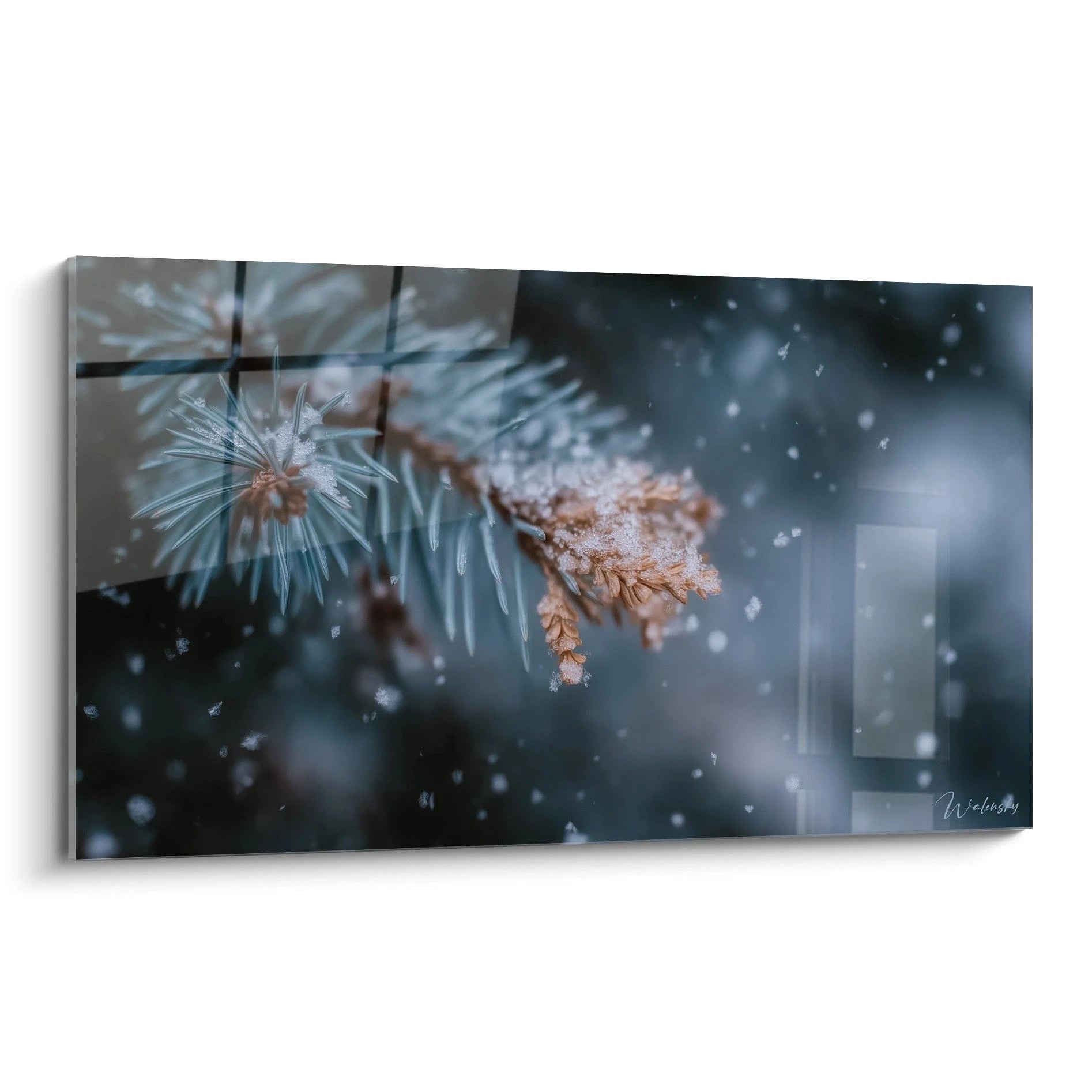 Walensky tableau sapin hivernal aiguille cristallisée sur toile gros plan branche de sapin enneigée