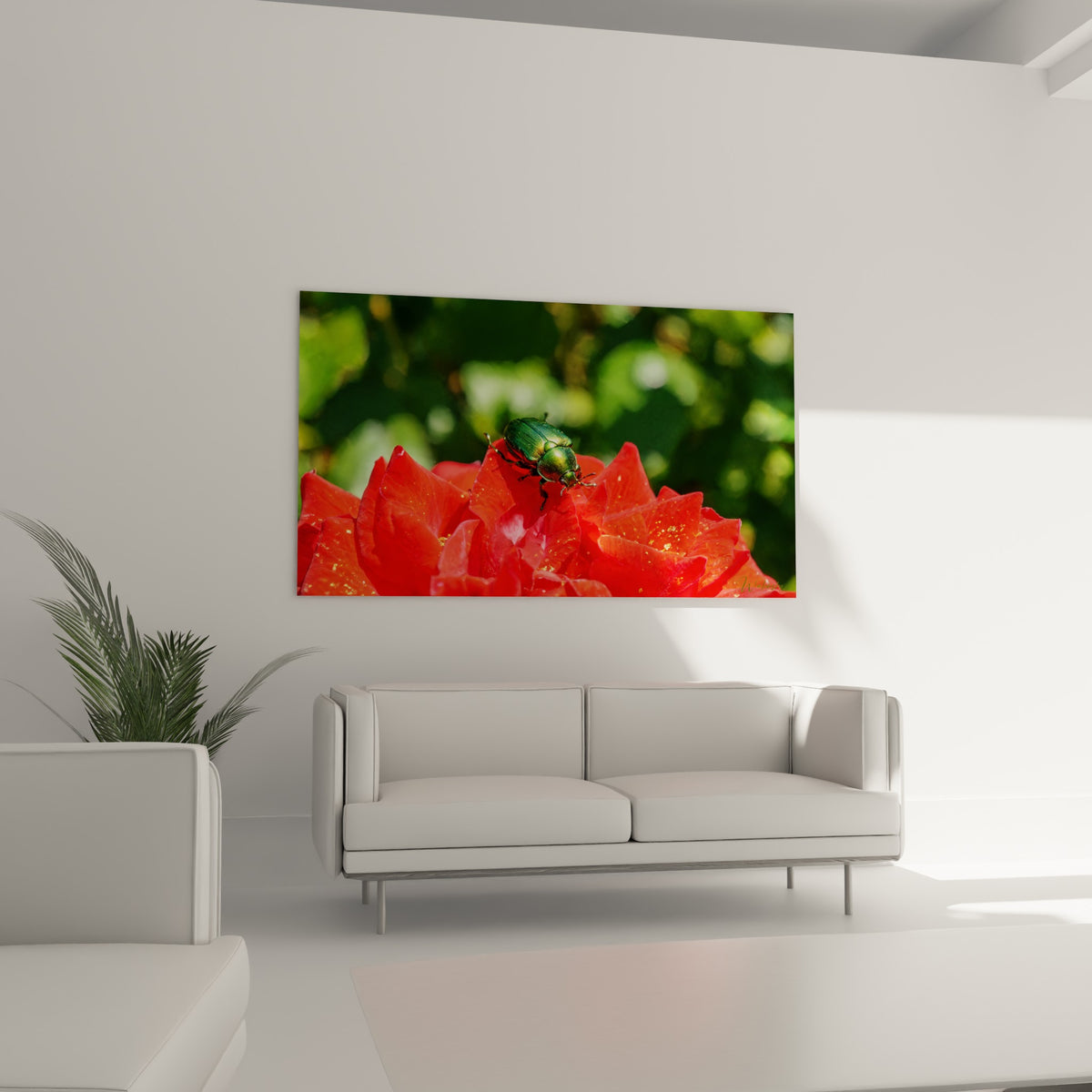 Carapace métallique verte du scarabé contrastant avec le rouge des pétales au-dessus d'un canapé dans un salon lumineux