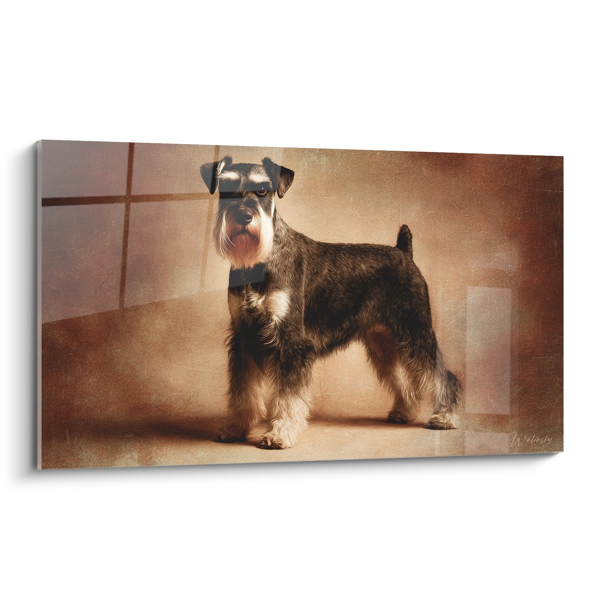 Tableau portrait Schnauzer poivre et sel en pose majestueuse sur fond doré chaleureux, décoration murale chien