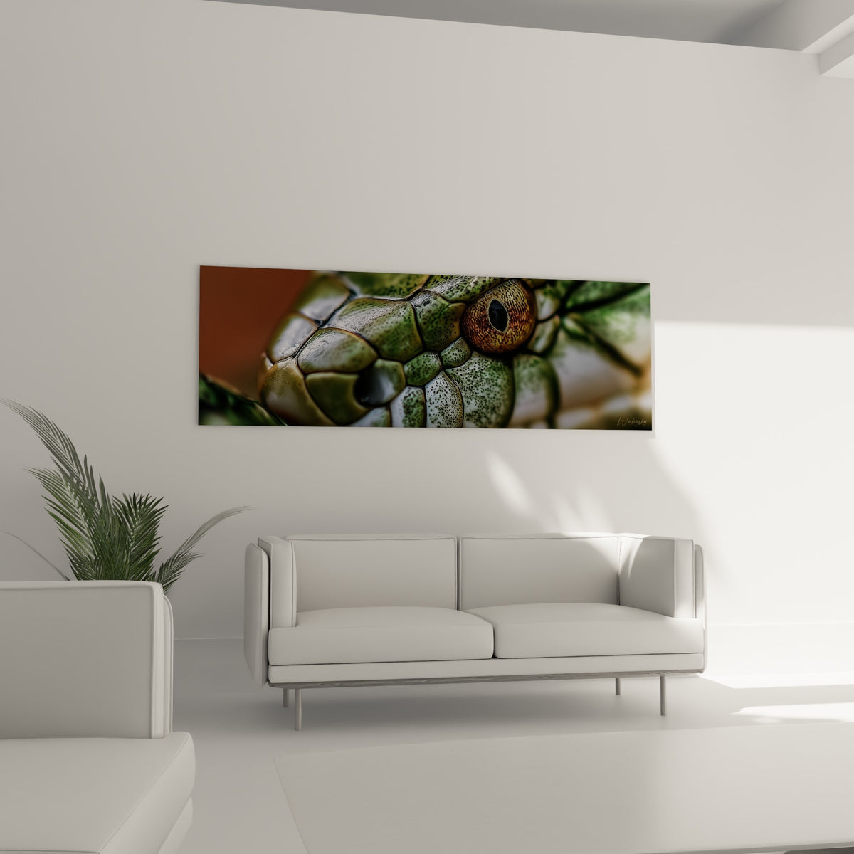 Écailles vertes et brunes du serpent, œil ambré intense, au-dessus d'un canapé dans un salon lumineux.