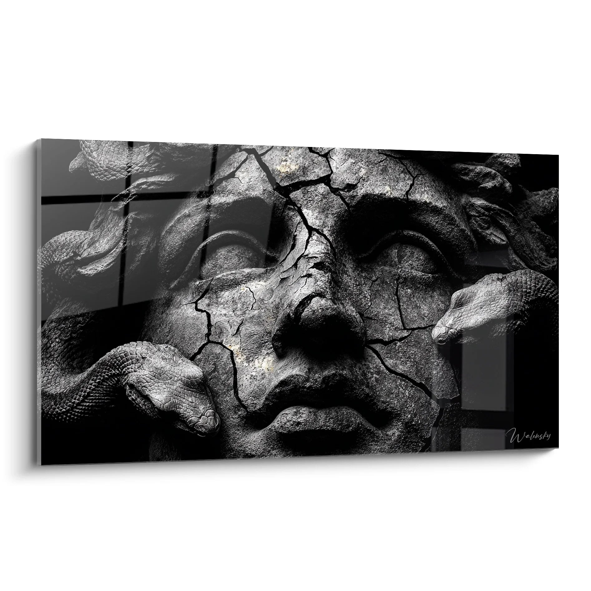 Tableau serpents entrelacés noir et blanc avec textures écailleuses détaillées