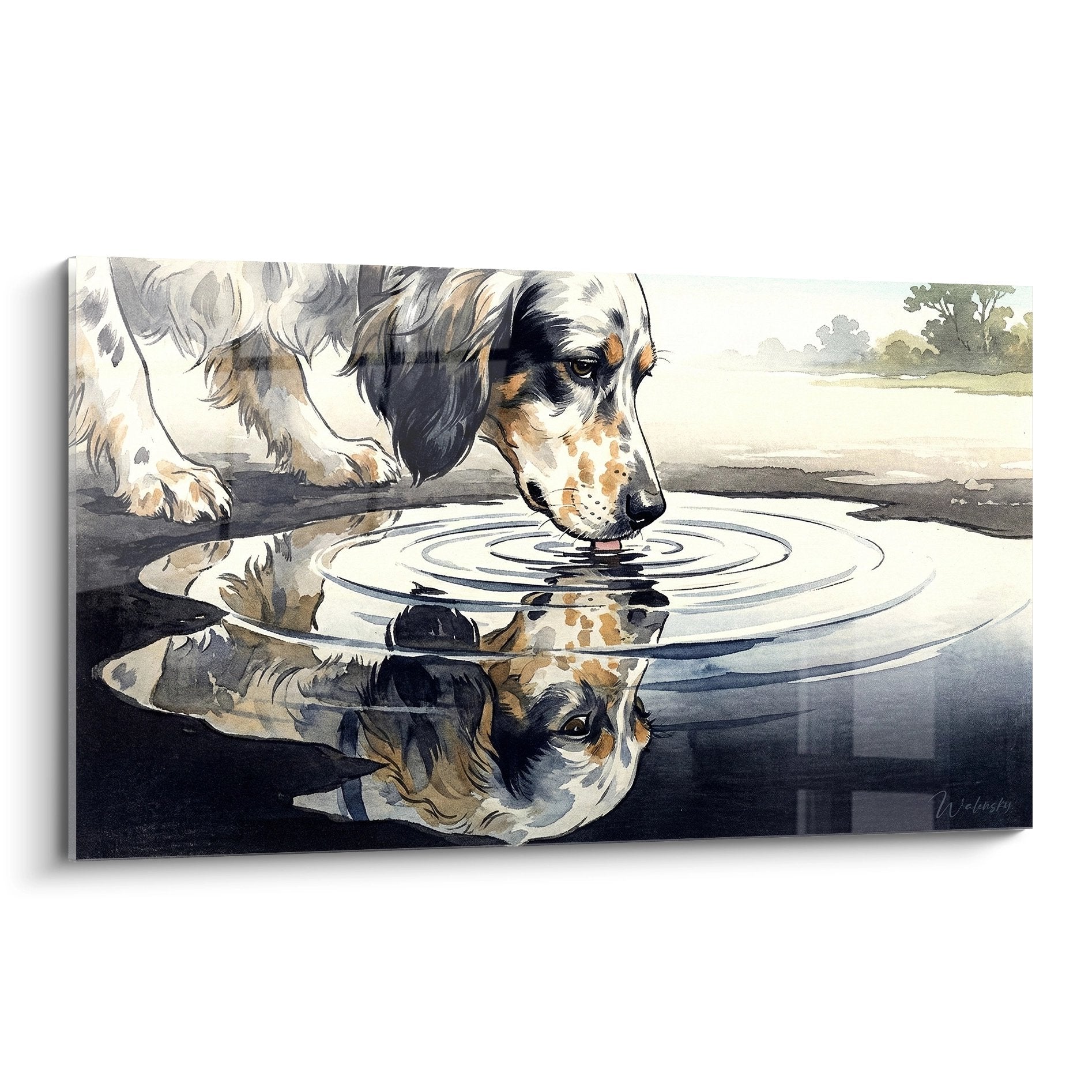 setter anglais buvant eau reflet aquarelle tons beiges gris paysage champetre nature sereine