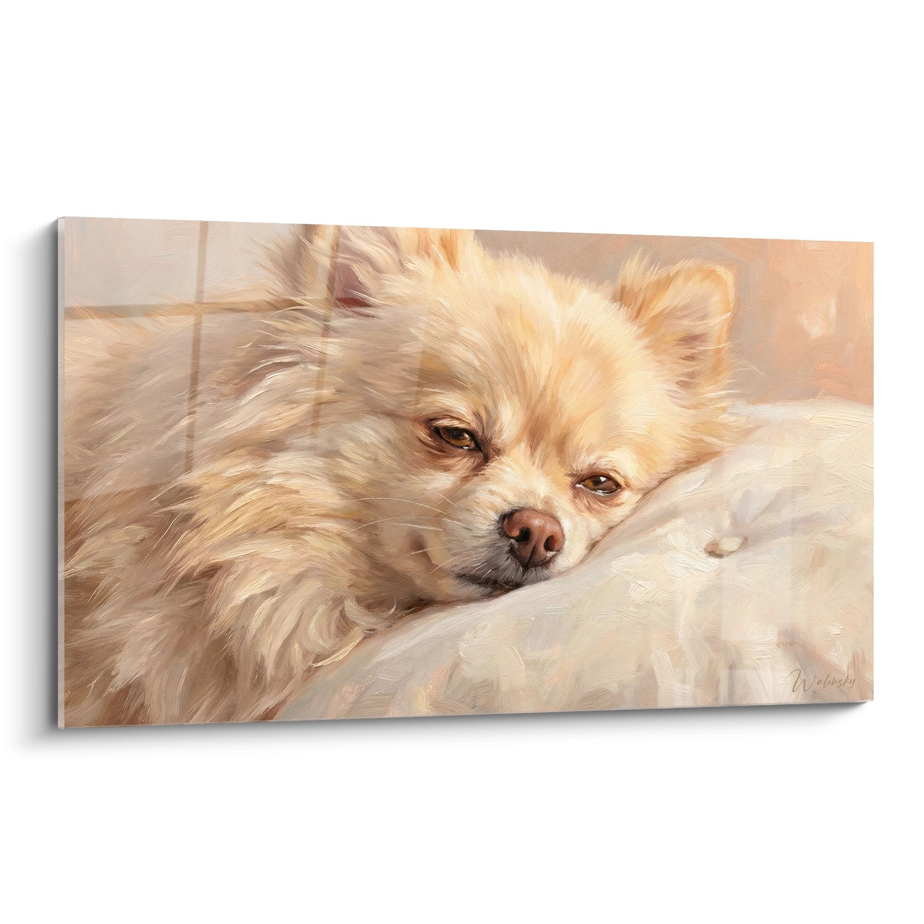 Portrait attendrissant d'un Spitz Poméranien aux tons dorés endormi sur textile moelleux