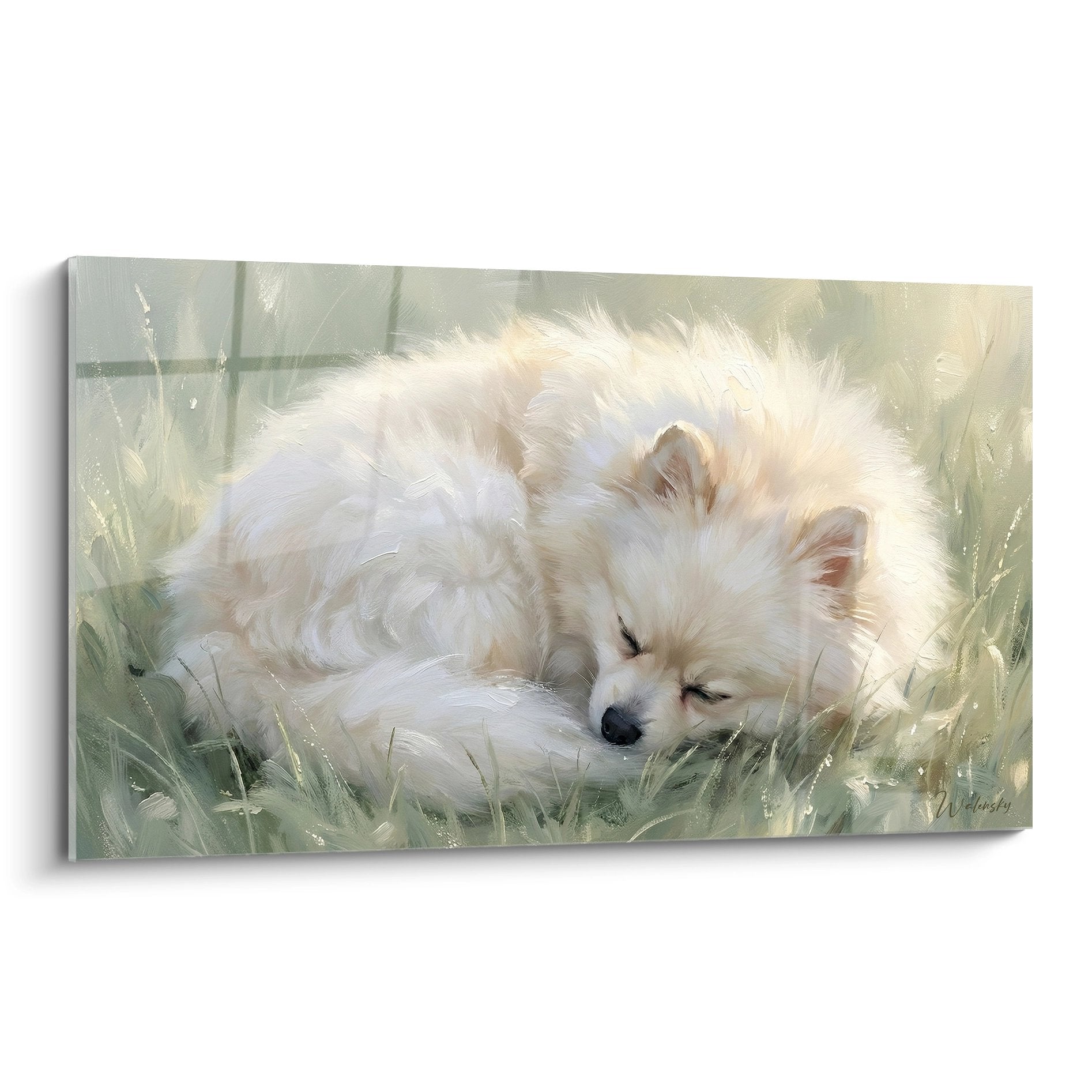 Tableau peinture Spitz Poméranien blanc endormi dans herbe verte tons pastel lumière dorée