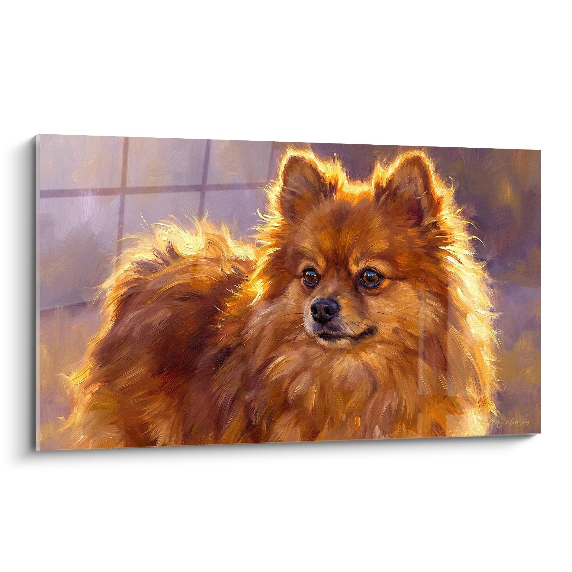 Portrait artistique Spitz Poméranien pelage roux doré yeux bleus lumière chaude tableau mural