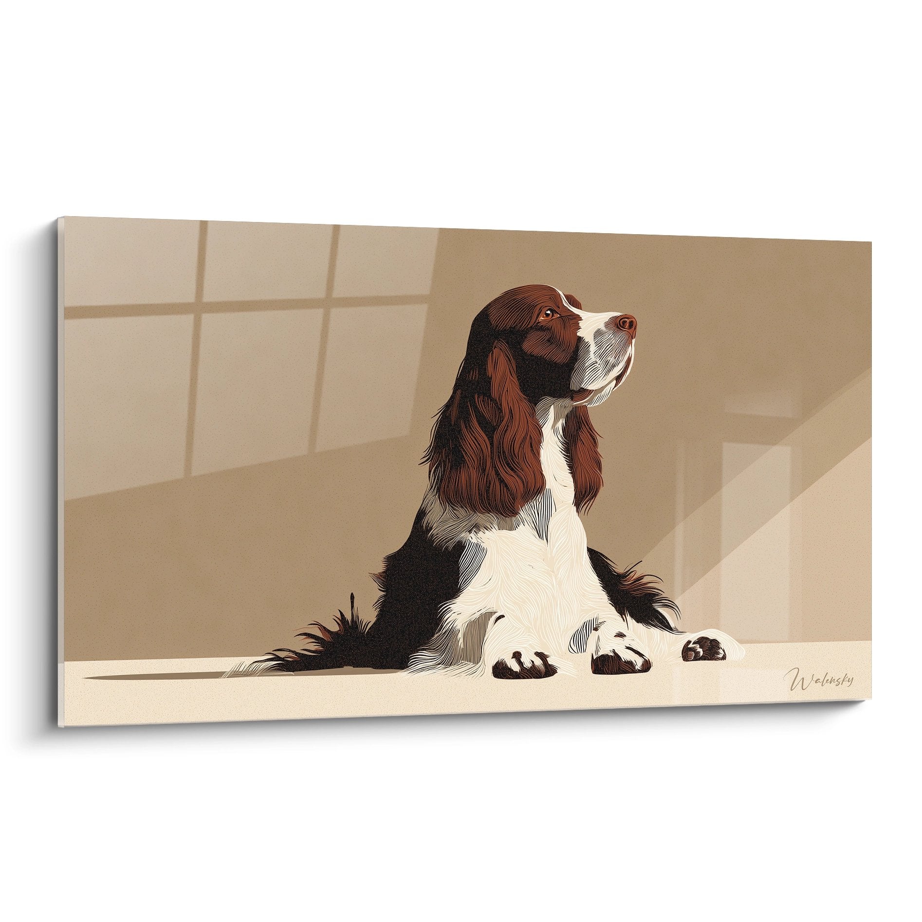 Tableau d'un Springer Anglais assis dans une lumière dorée avec ombres géométriques sur tons beiges